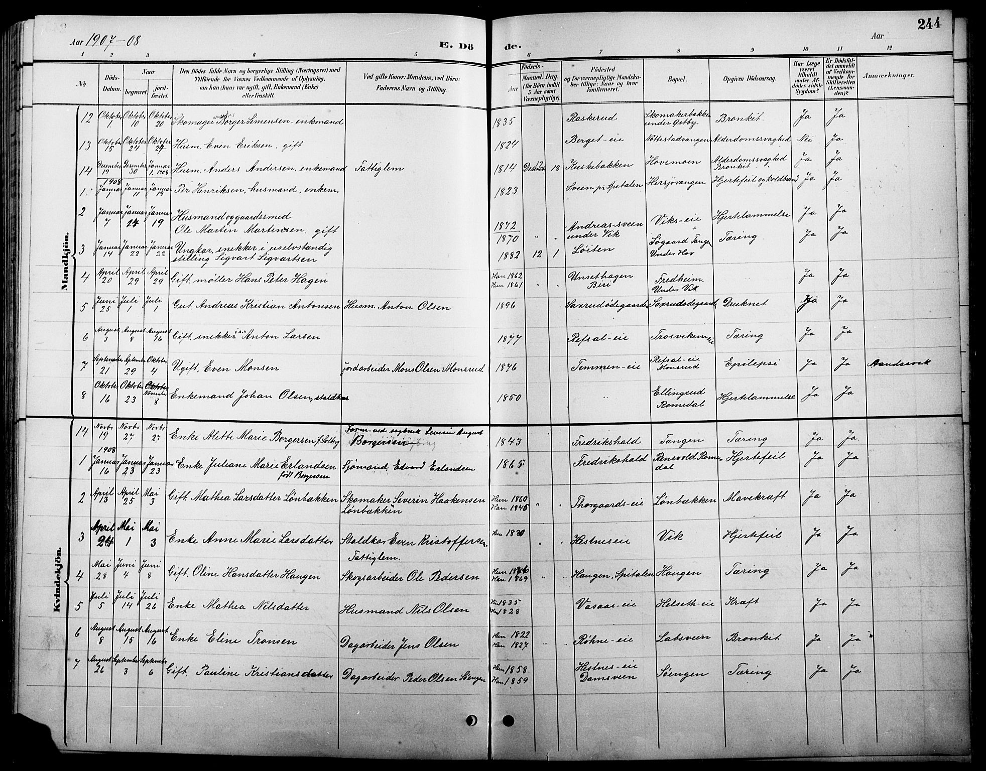 Stange prestekontor, SAH/PREST-002/L/L0011: Parish register (copy) no. 11, 1895-1917, p. 244