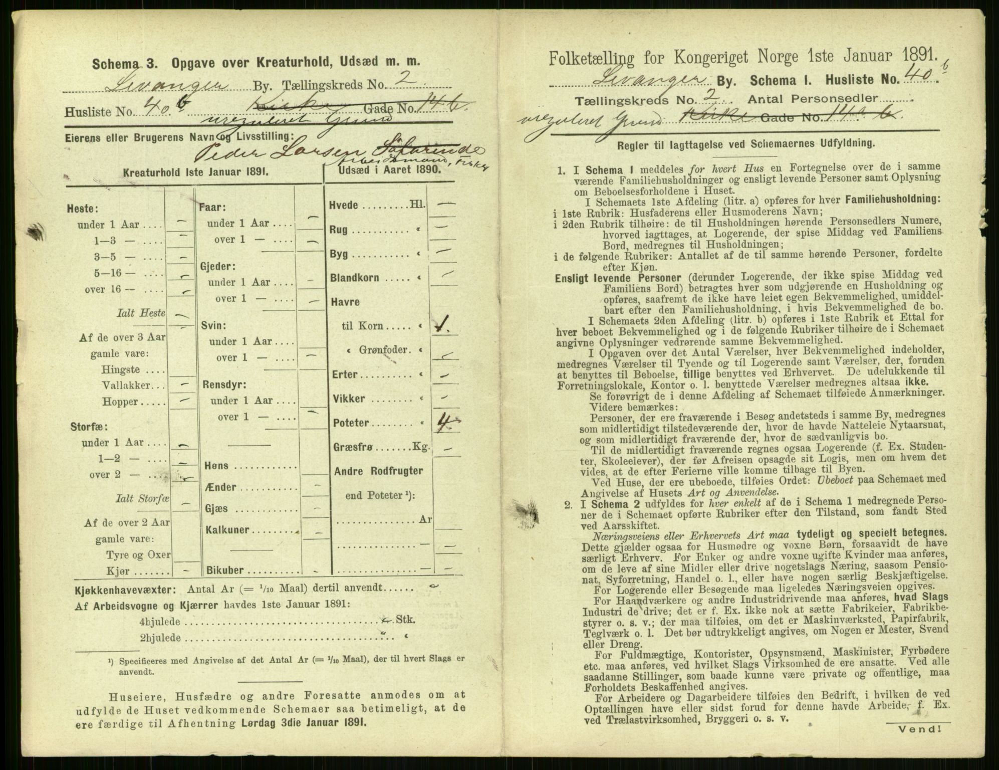 RA, 1891 census for 1701 Levanger, 1891, p. 506