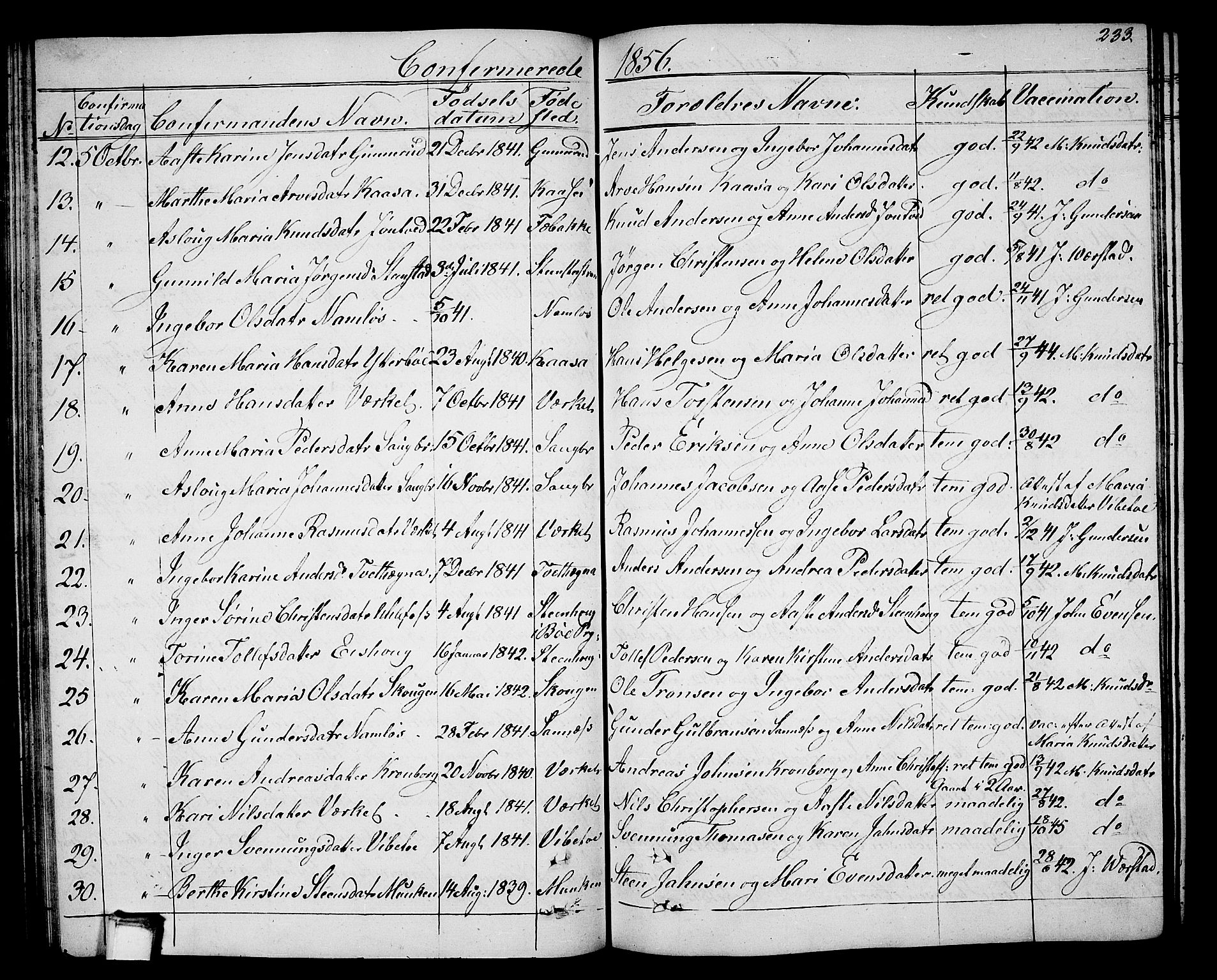 Holla kirkebøker, SAKO/A-272/G/Ga/L0003: Parish register (copy) no. I 3, 1849-1866, p. 233
