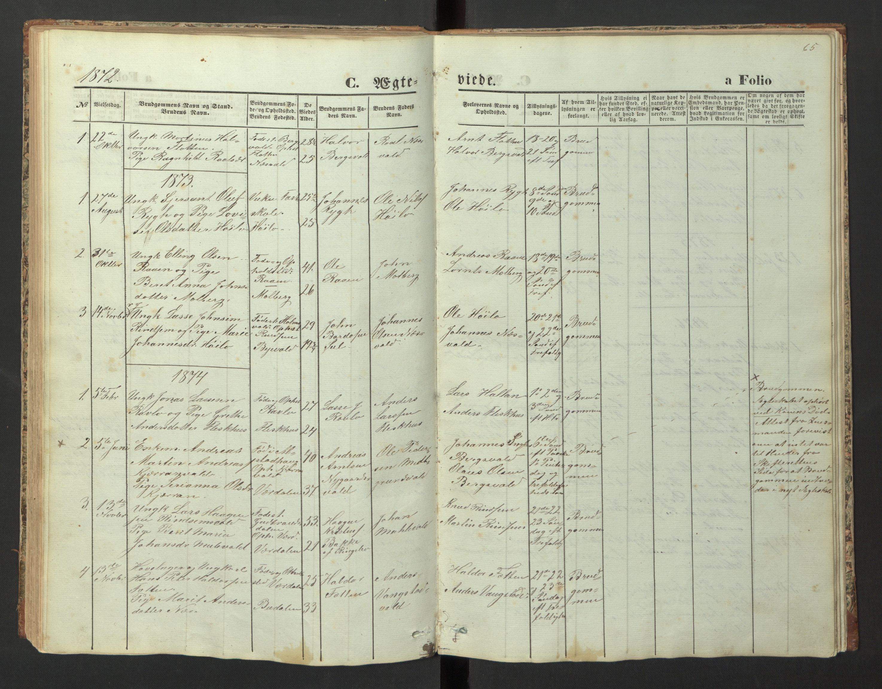 Ministerialprotokoller, klokkerbøker og fødselsregistre - Nord-Trøndelag, SAT/A-1458/726/L0271: Parish register (copy) no. 726C02, 1869-1897, p. 65