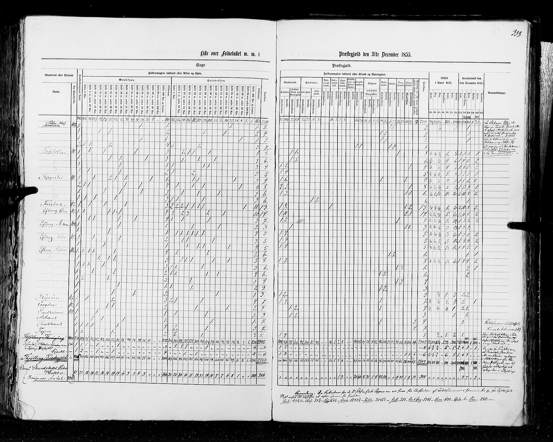 RA, Census 1855, vol. 2: Kristians amt, Buskerud amt og Jarlsberg og Larvik amt, 1855, p. 338