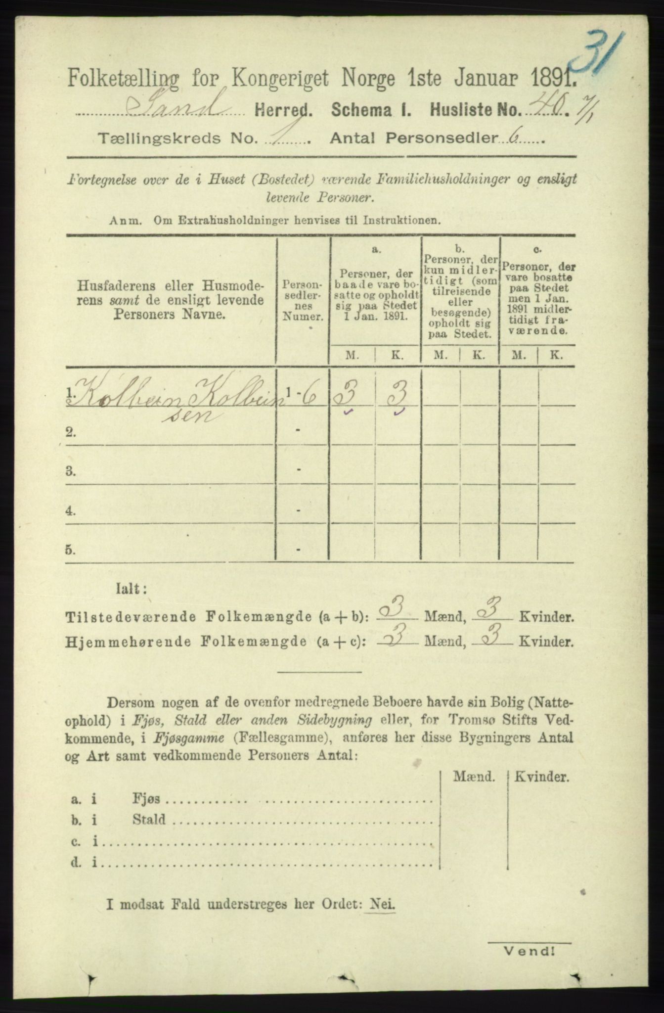 RA, 1891 census for 1136 Sand, 1891, p. 55