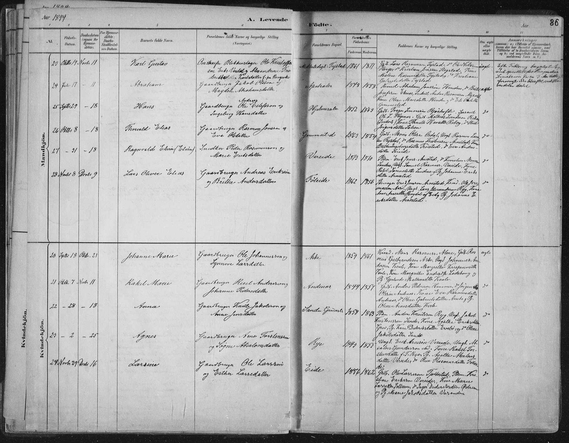 Gloppen sokneprestembete, AV/SAB-A-80101/H/Haa/Haab/L0001: Parish register (official) no. B  1, 1885-1905, p. 36