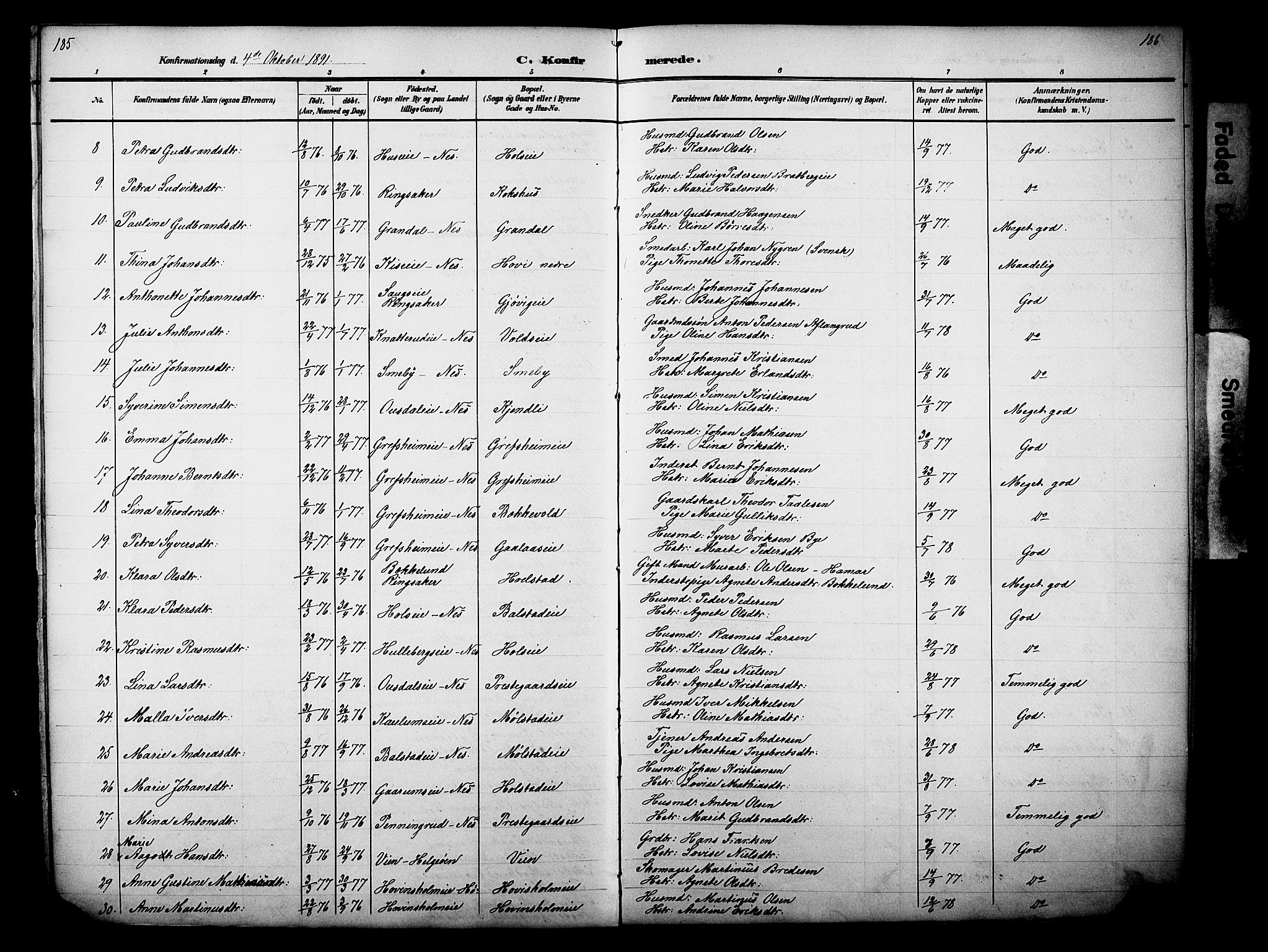 Nes prestekontor, Hedmark, AV/SAH-PREST-020/L/La/L0006: Parish register (copy) no. 6, 1890-1932, p. 185-186
