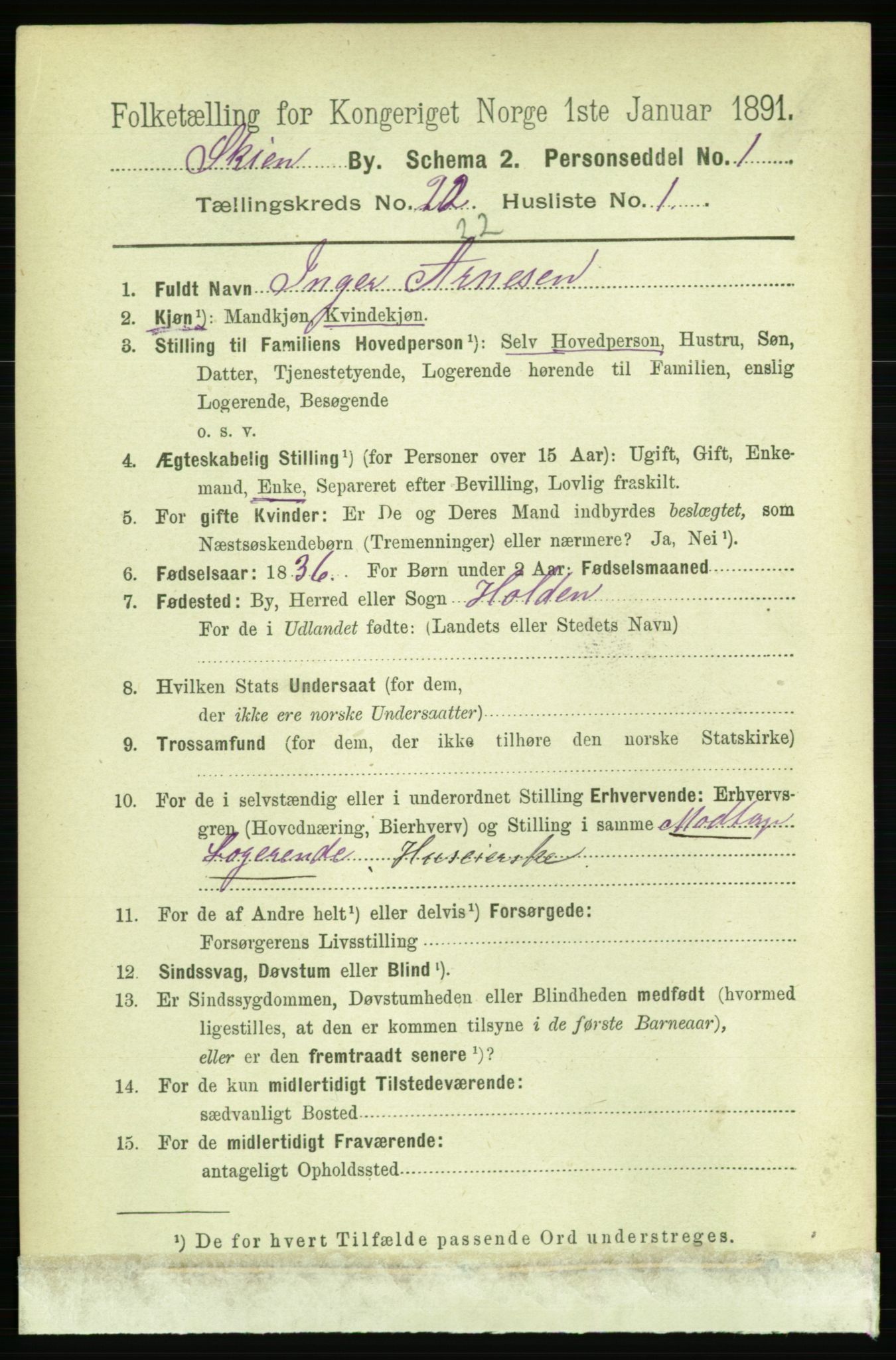 RA, 1891 census for 0806 Skien, 1891, p. 5669