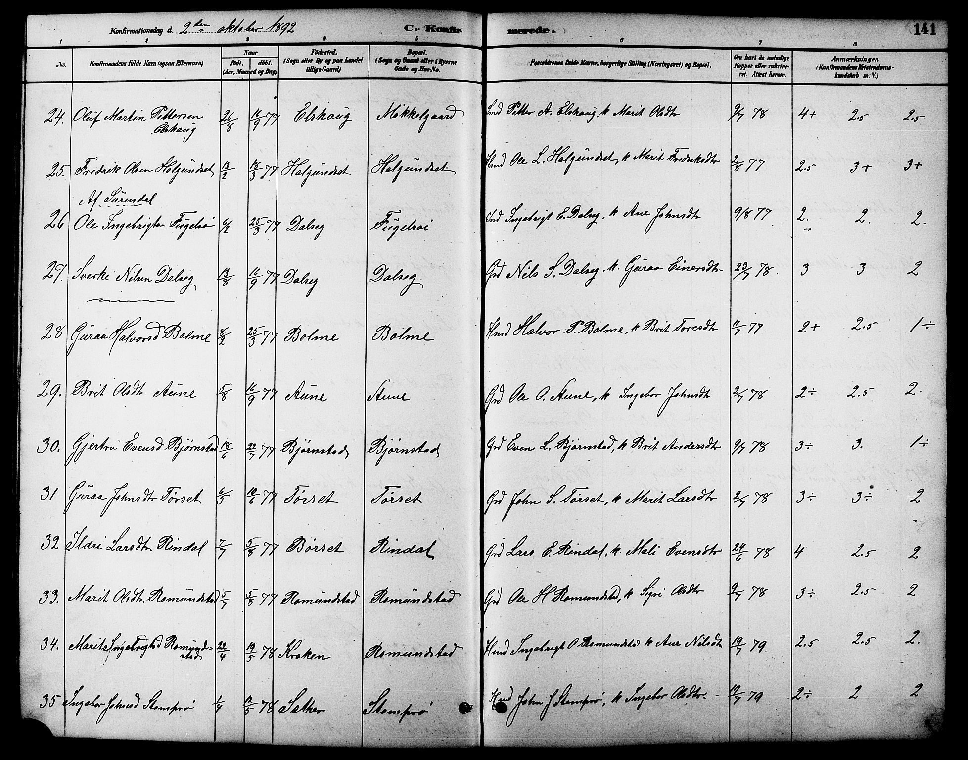 Ministerialprotokoller, klokkerbøker og fødselsregistre - Møre og Romsdal, AV/SAT-A-1454/598/L1078: Parish register (copy) no. 598C03, 1892-1909, p. 141