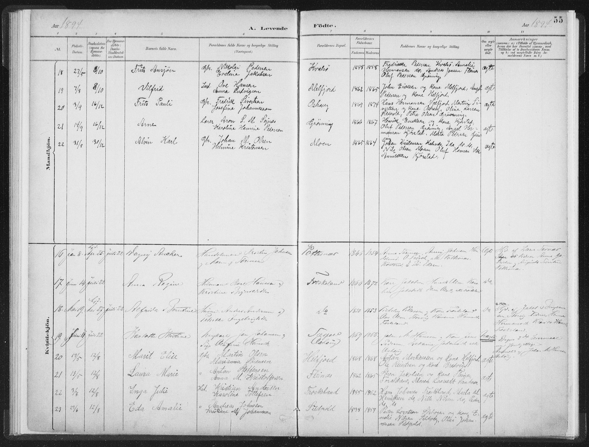 Ministerialprotokoller, klokkerbøker og fødselsregistre - Nordland, AV/SAT-A-1459/890/L1286: Parish register (official) no. 890A01, 1882-1902, p. 55