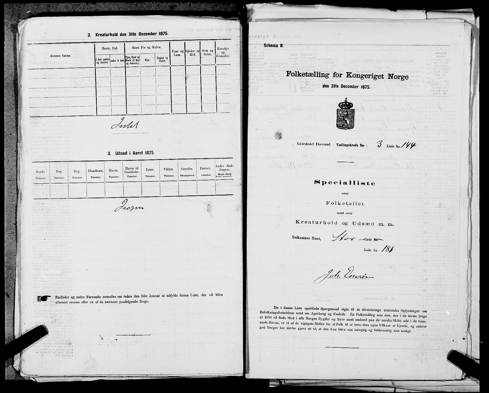 SAST, 1875 census for 1101B Eigersund parish, Egersund town, 1875, p. 304