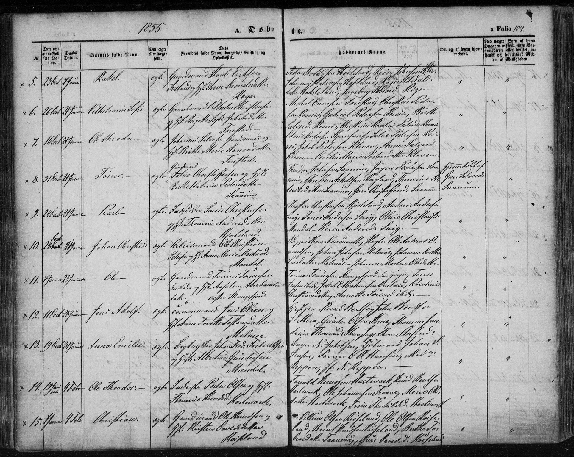 Mandal sokneprestkontor, AV/SAK-1111-0030/F/Fa/Faa/L0013: Parish register (official) no. A 13, 1847-1859, p. 107