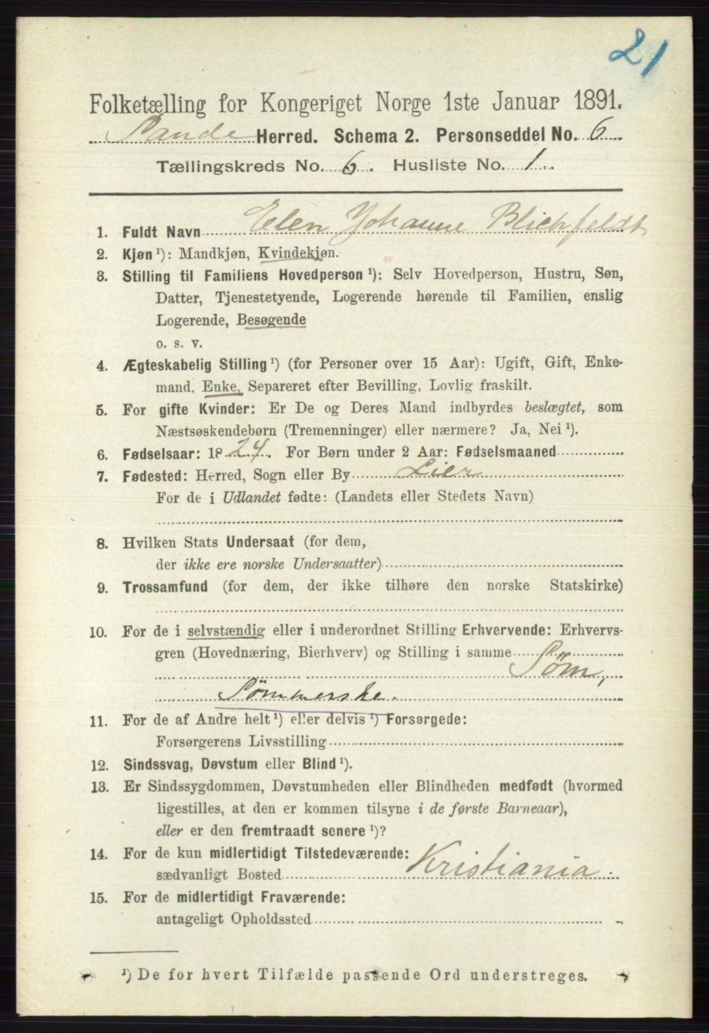 RA, 1891 census for 0713 Sande, 1891, p. 2691