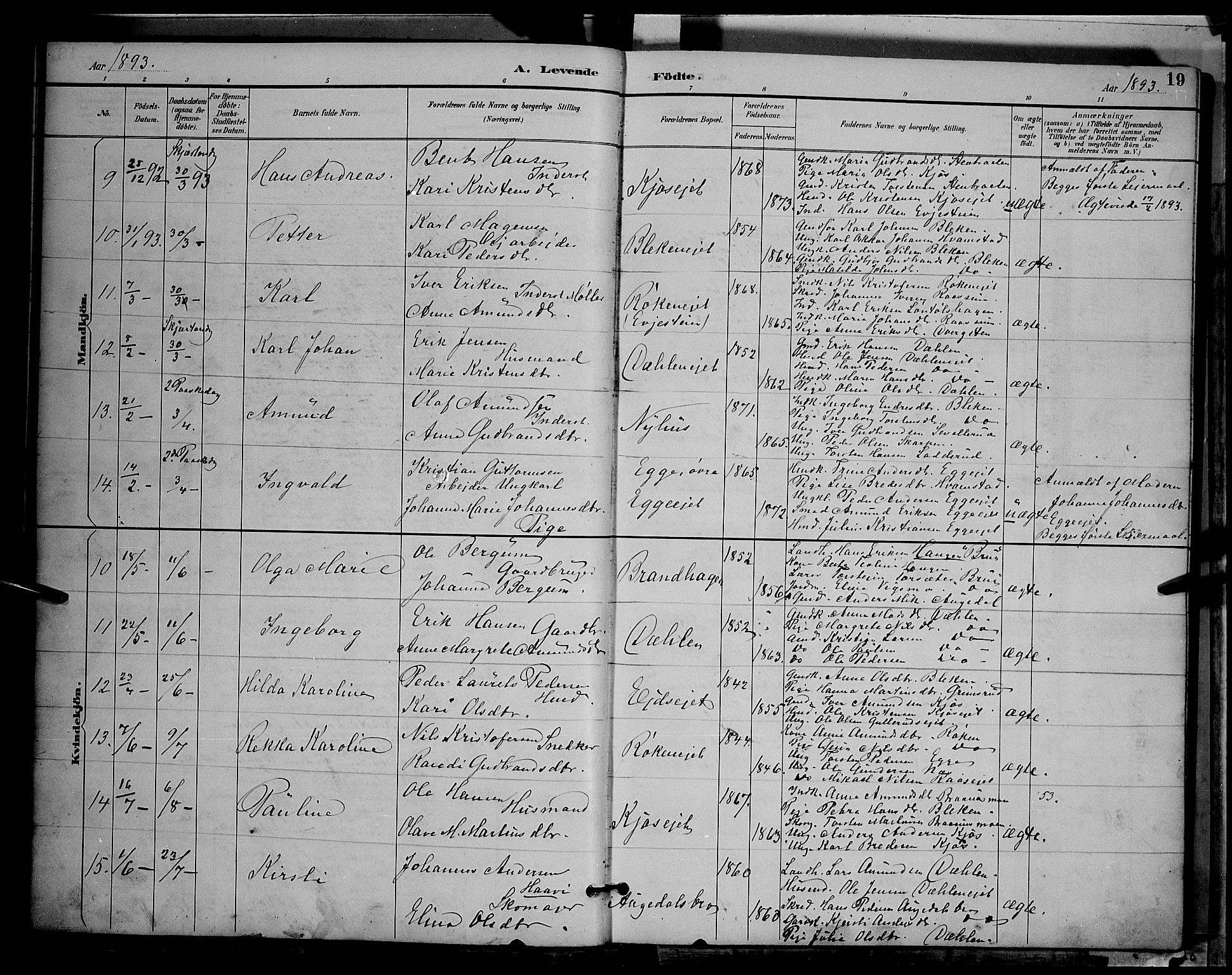 Gran prestekontor, AV/SAH-PREST-112/H/Ha/Hab/L0004: Parish register (copy) no. 4, 1890-1899, p. 19