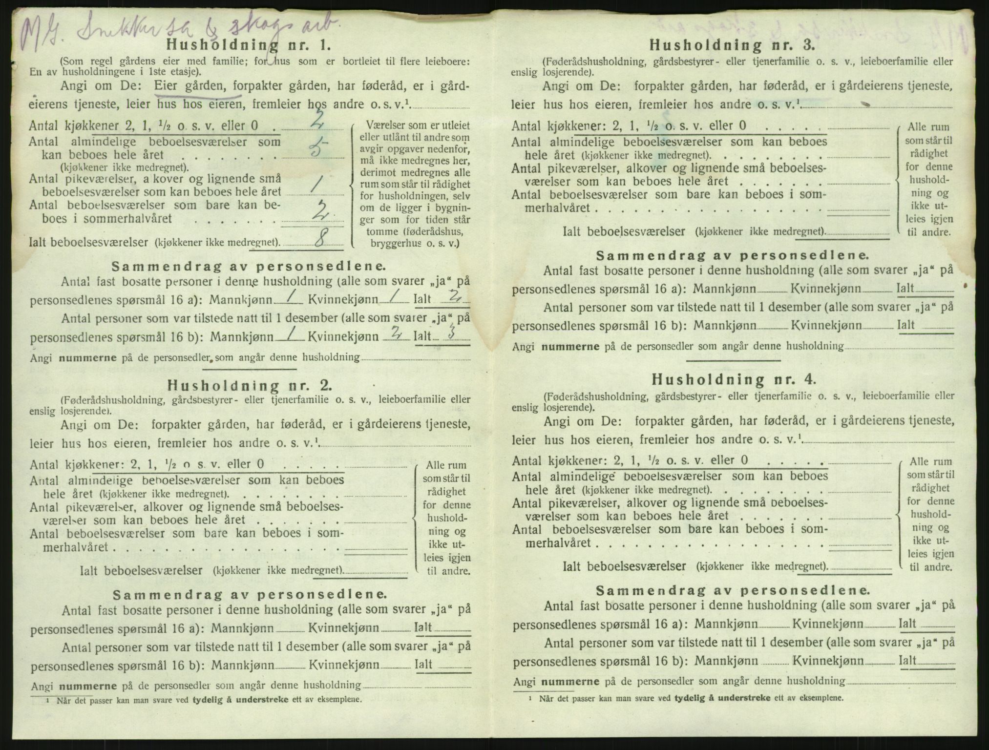 SAKO, 1920 census for Brunlanes, 1920, p. 828