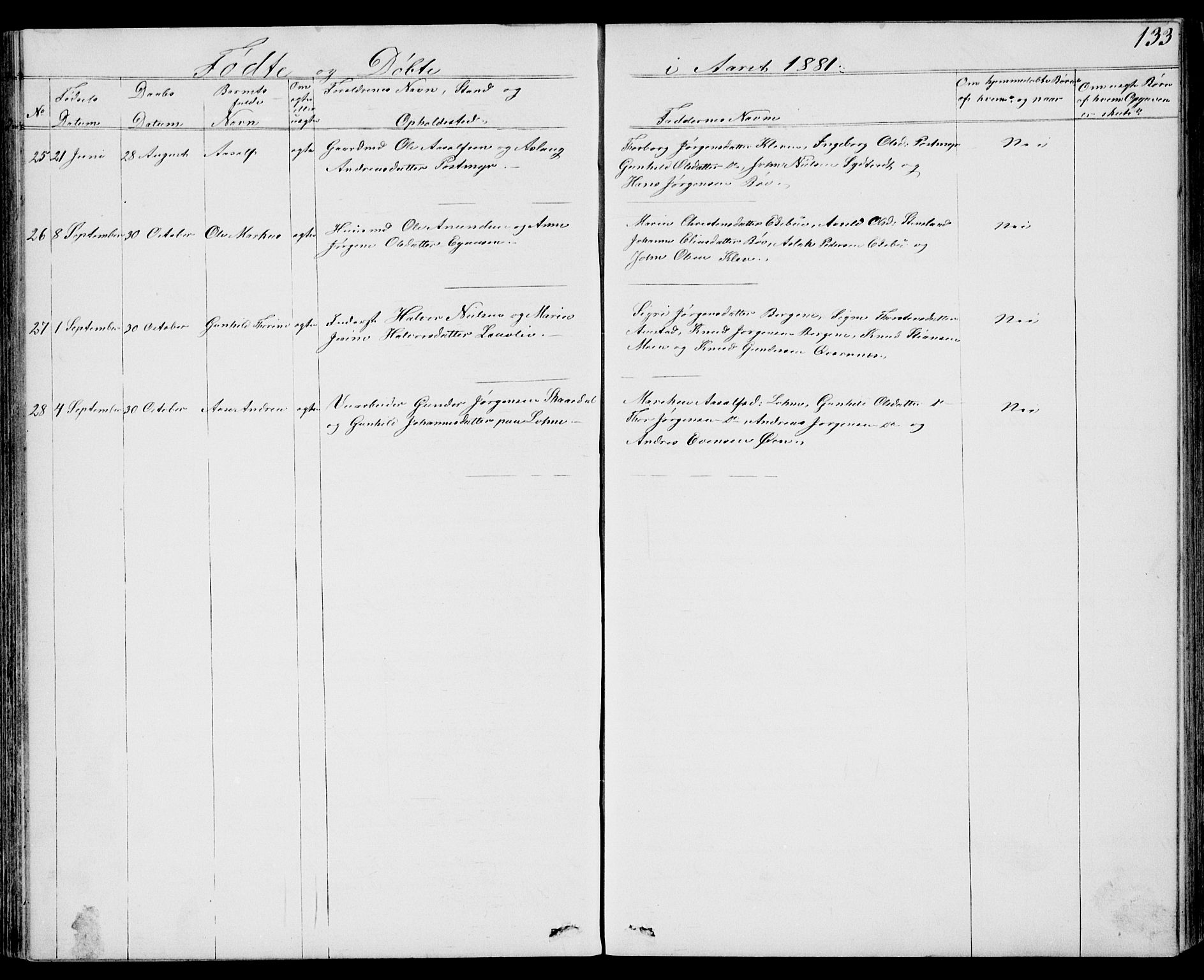Drangedal kirkebøker, SAKO/A-258/G/Gb/L0001: Parish register (copy) no. II 1, 1856-1894, p. 133