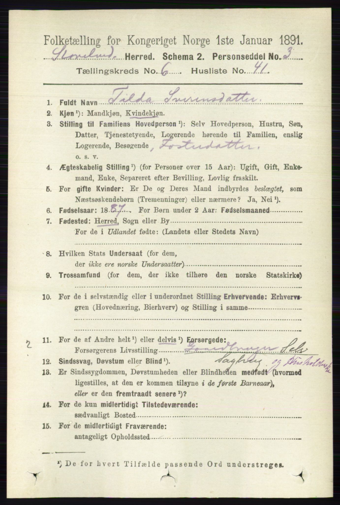 RA, 1891 census for 0430 Stor-Elvdal, 1891, p. 2388