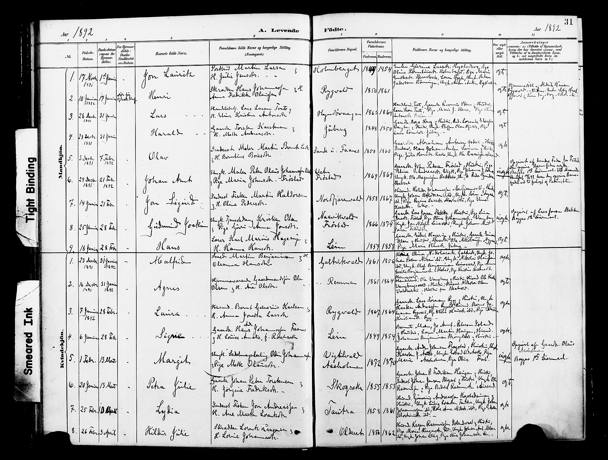 Ministerialprotokoller, klokkerbøker og fødselsregistre - Nord-Trøndelag, SAT/A-1458/713/L0121: Parish register (official) no. 713A10, 1888-1898, p. 31