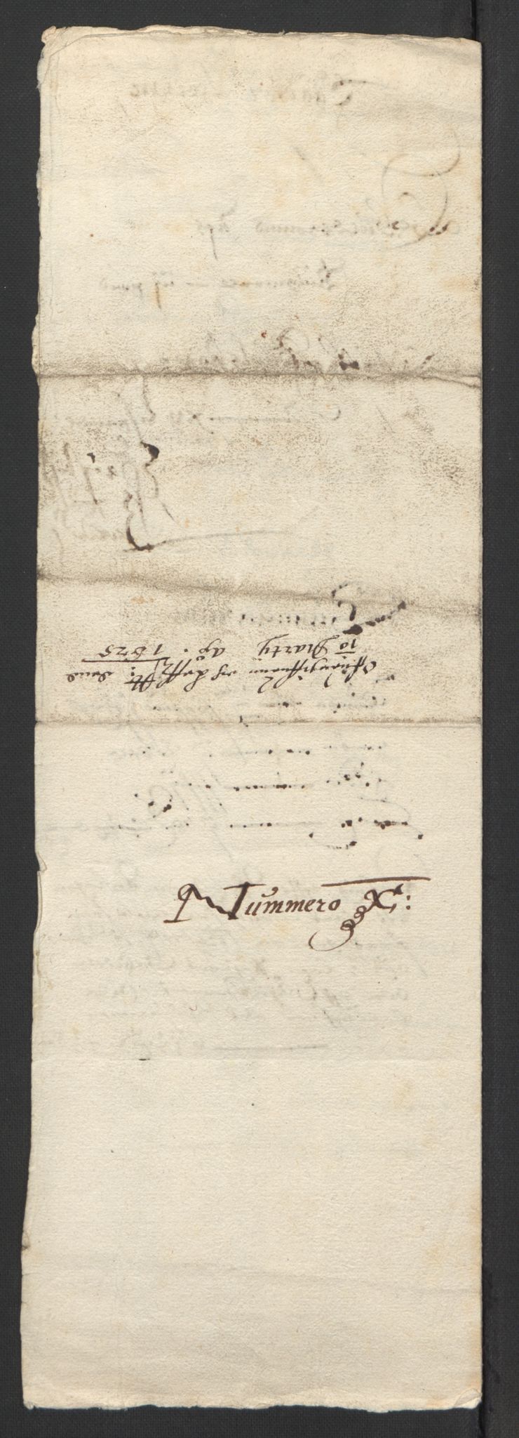 Stattholderembetet 1572-1771, AV/RA-EA-2870/Ek/L0007/0001: Jordebøker til utlikning av rosstjeneste 1624-1626: / Adelsjordebøker, 1624-1625, p. 250