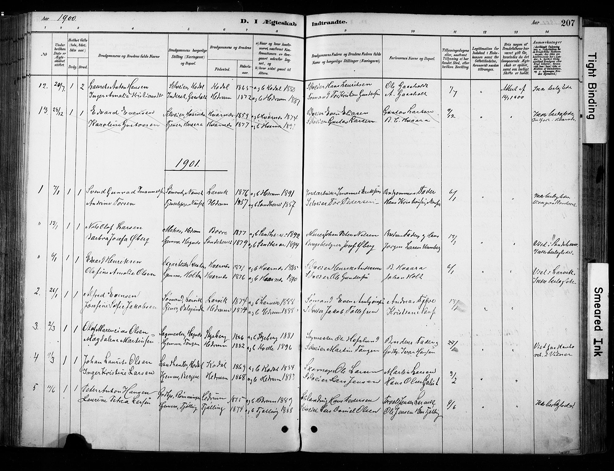 Hedrum kirkebøker, SAKO/A-344/F/Fa/L0009: Parish register (official) no. I 9, 1881-1903, p. 207