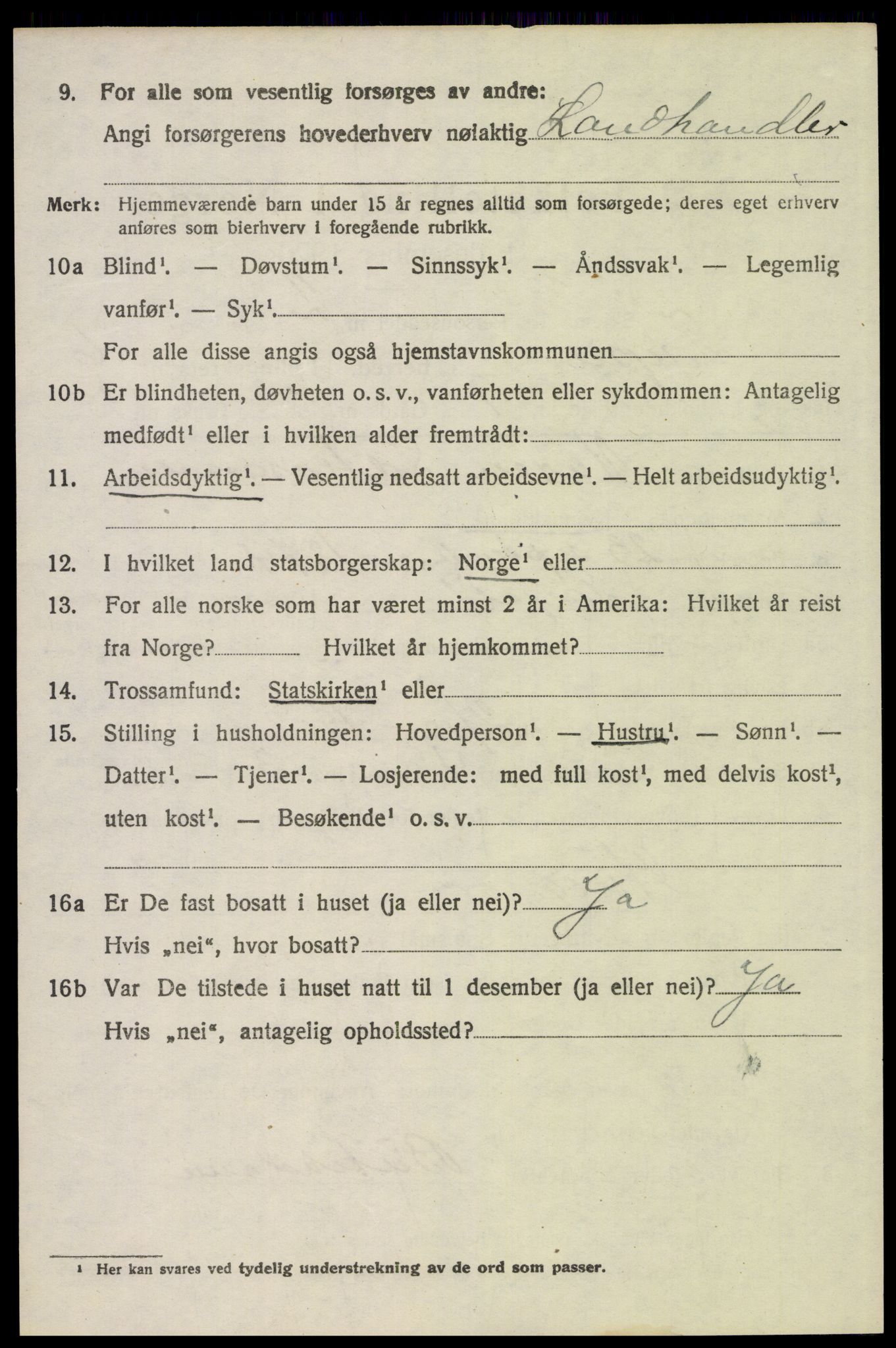 SAH, 1920 census for Trysil, 1920, p. 4638