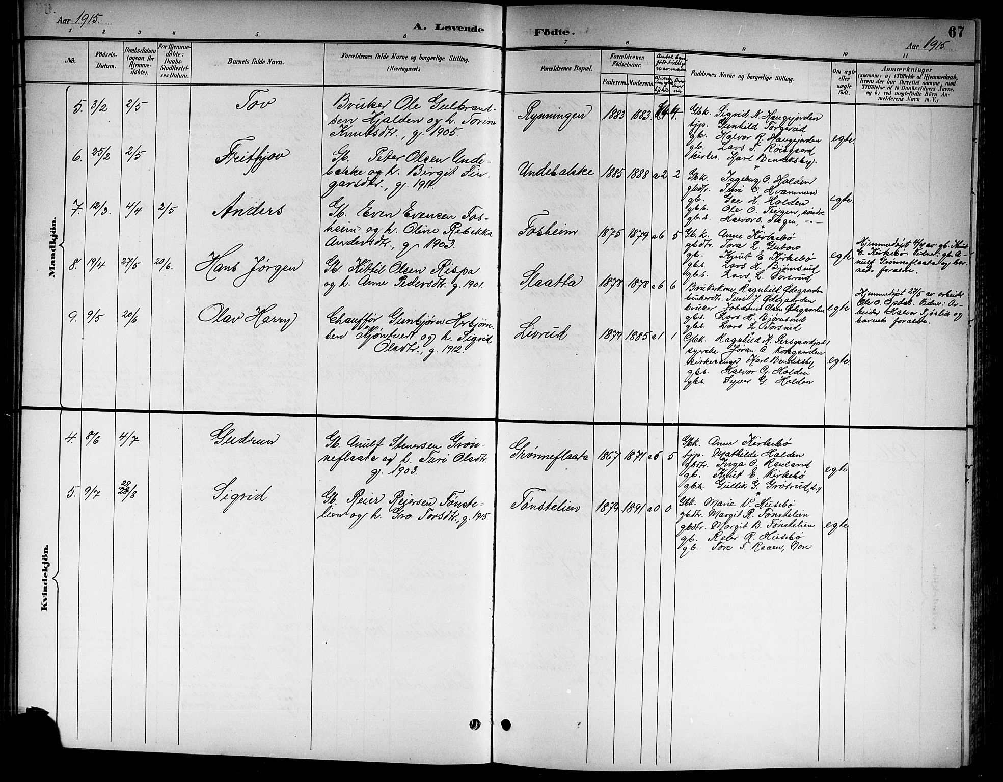 Nore kirkebøker, SAKO/A-238/G/Gb/L0003: Parish register (copy) no. II 3, 1894-1923, p. 67