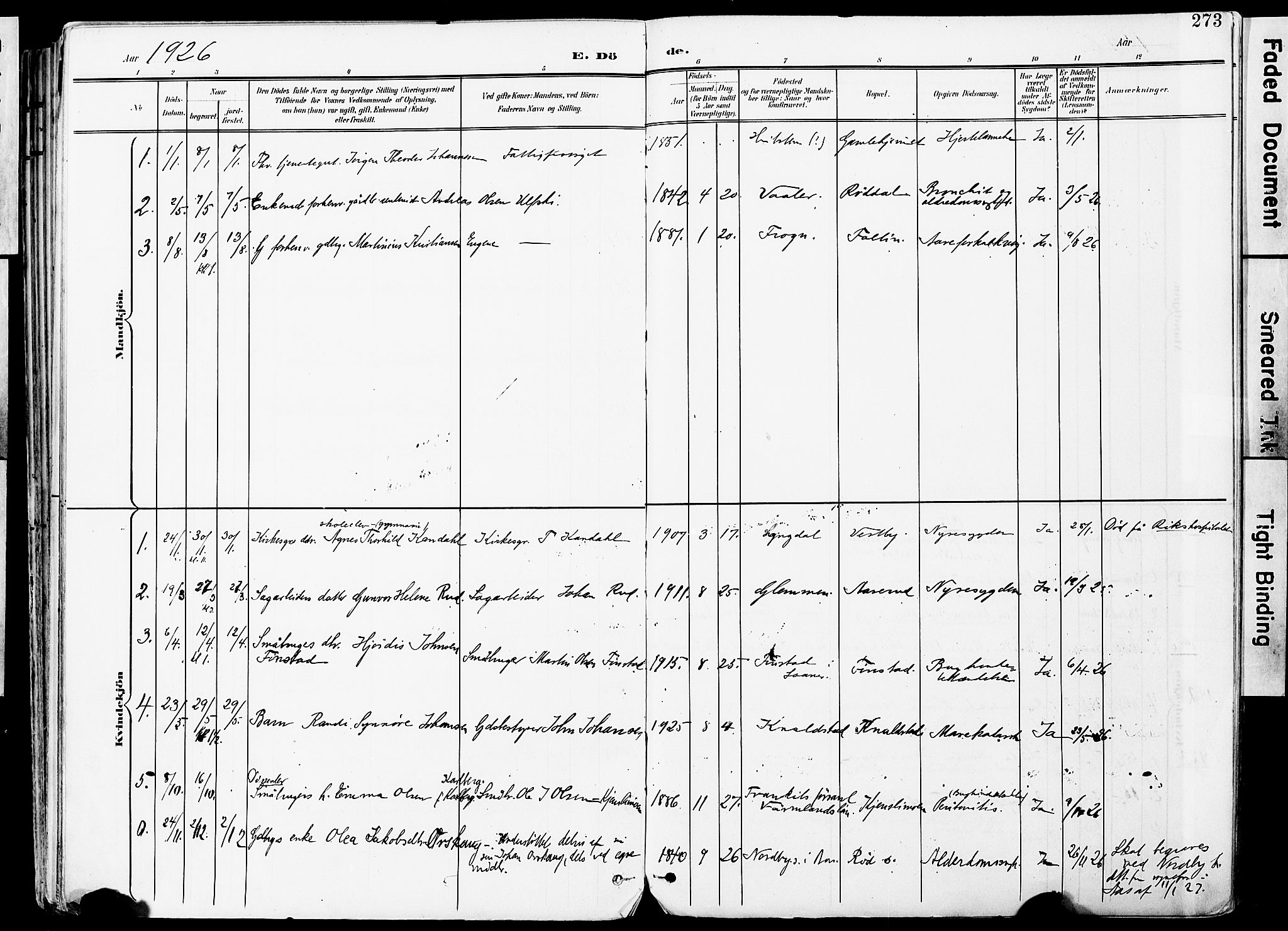 Vestby prestekontor Kirkebøker, SAO/A-10893/F/Fa/L0010: Parish register (official) no. I 10, 1900-1926, p. 273