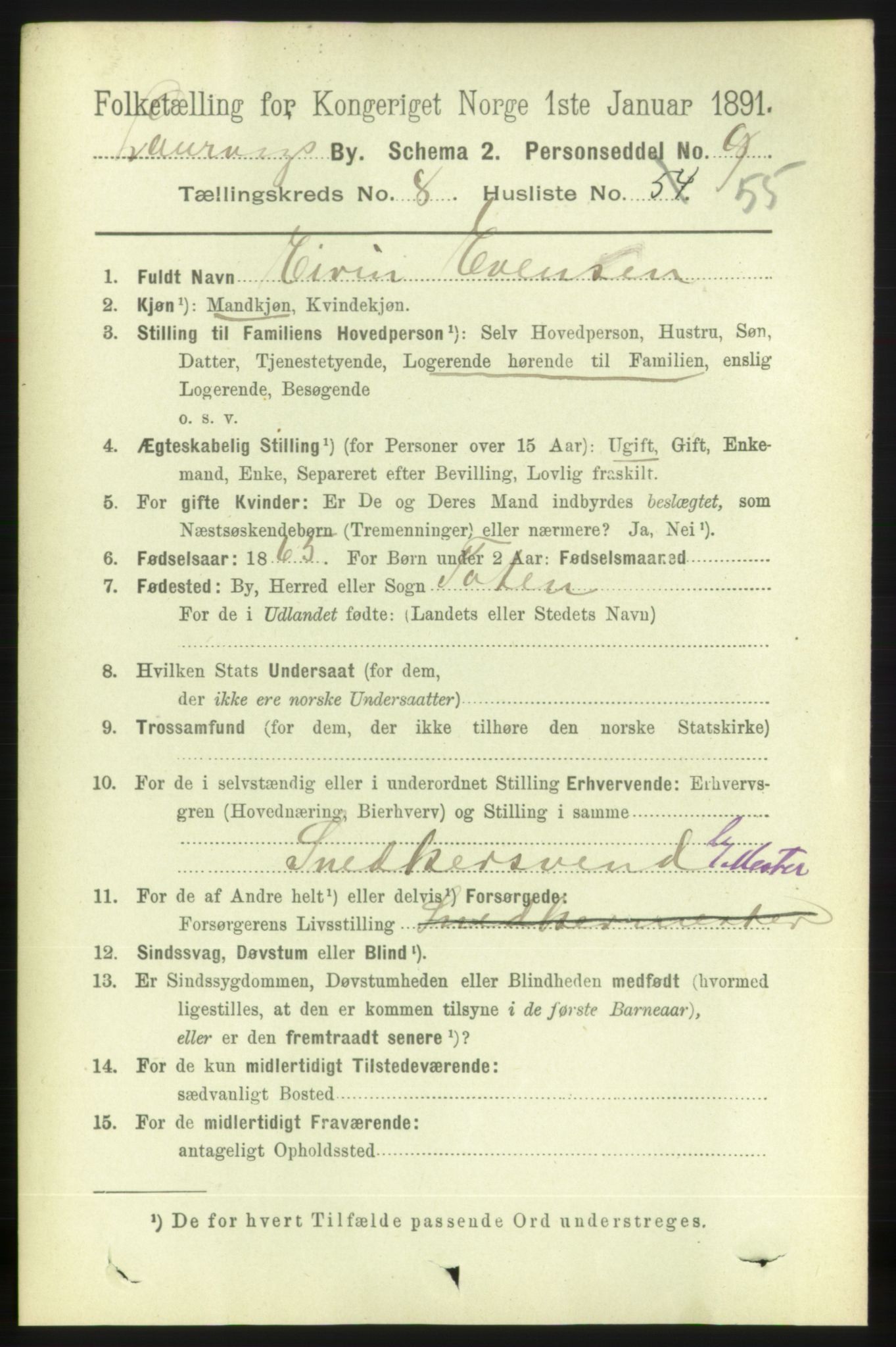 RA, 1891 census for 0707 Larvik, 1891, p. 8487