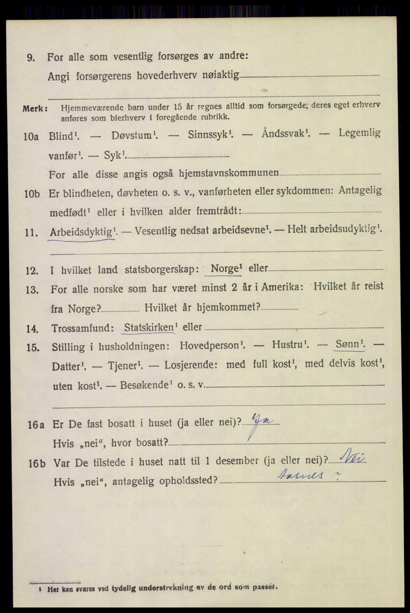 SAH, 1920 census for Åsnes, 1920, p. 11721