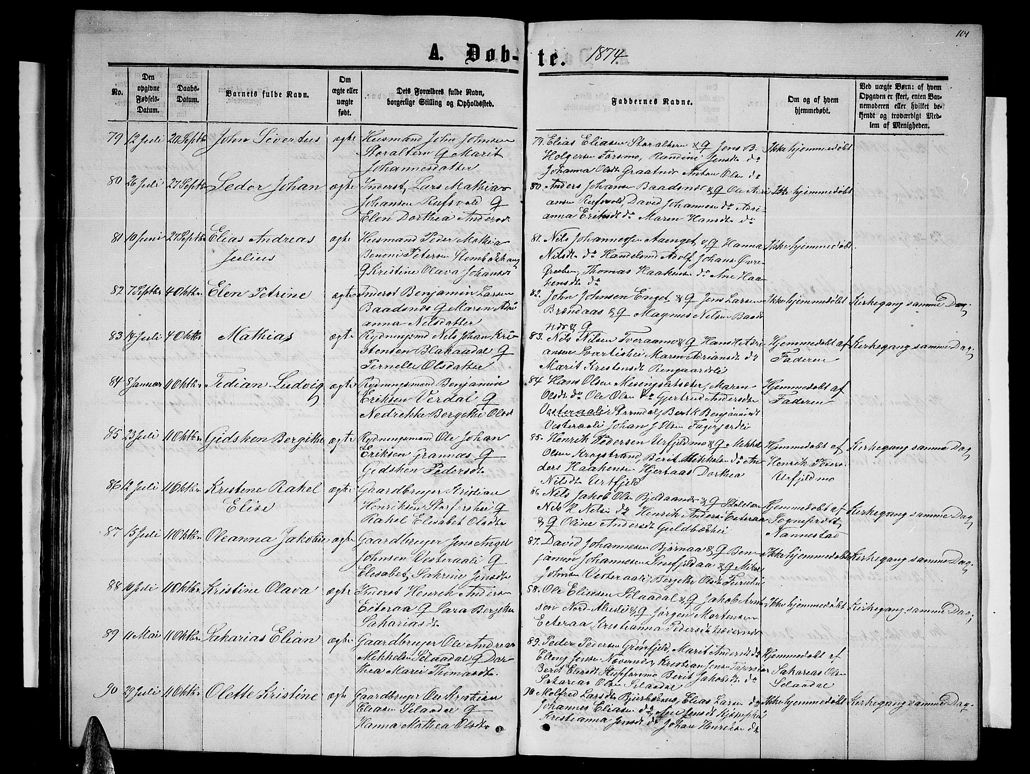 Ministerialprotokoller, klokkerbøker og fødselsregistre - Nordland, SAT/A-1459/827/L0415: Parish register (copy) no. 827C04, 1864-1886, p. 101