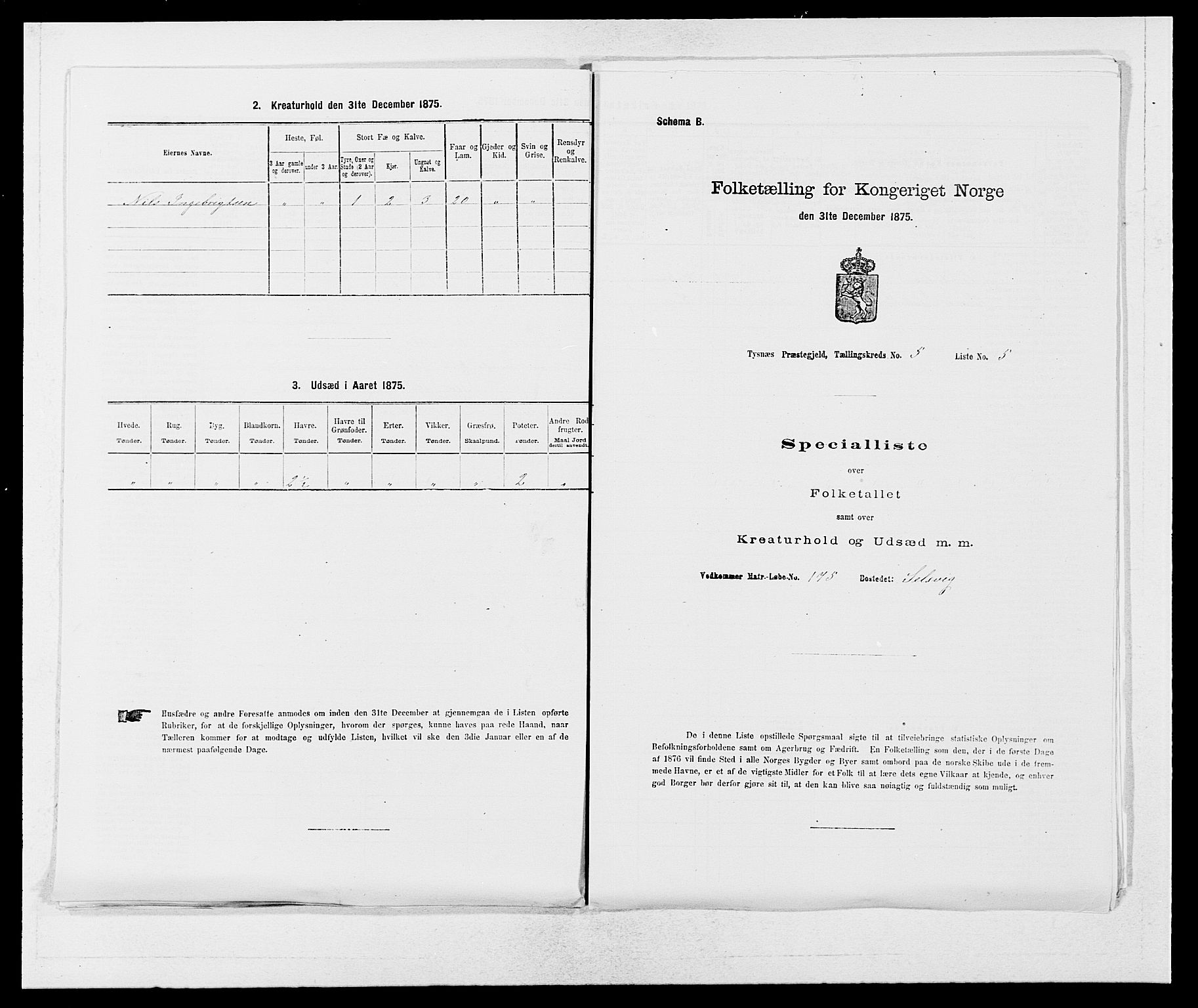 SAB, 1875 census for 1223P Tysnes, 1875, p. 556