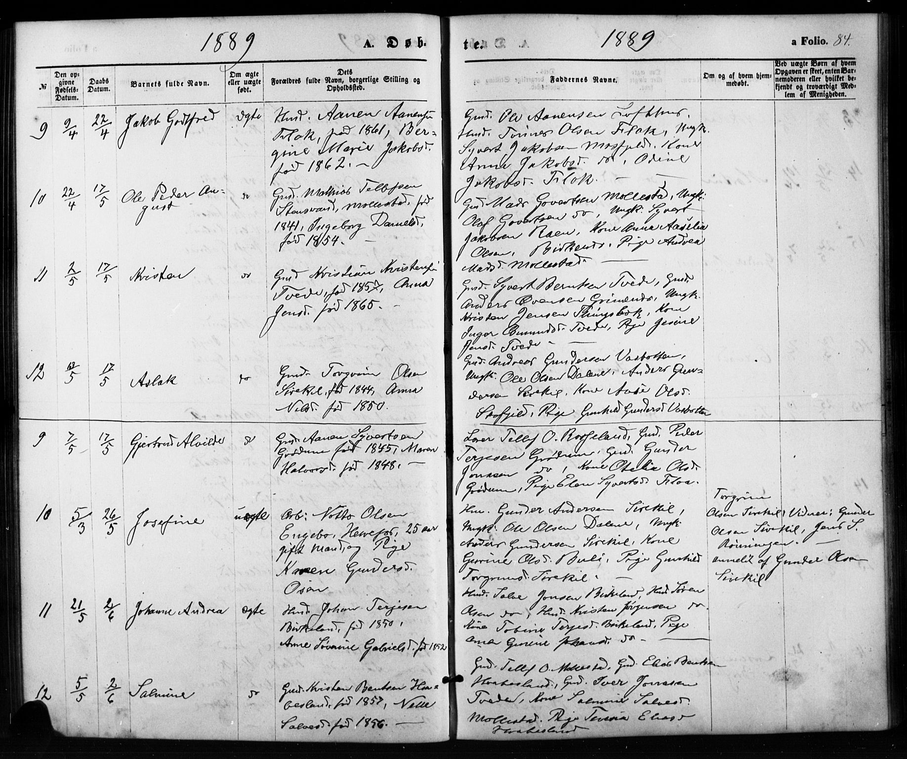 Birkenes sokneprestkontor, AV/SAK-1111-0004/F/Fb/L0003: Parish register (copy) no. B 3, 1876-1892, p. 84