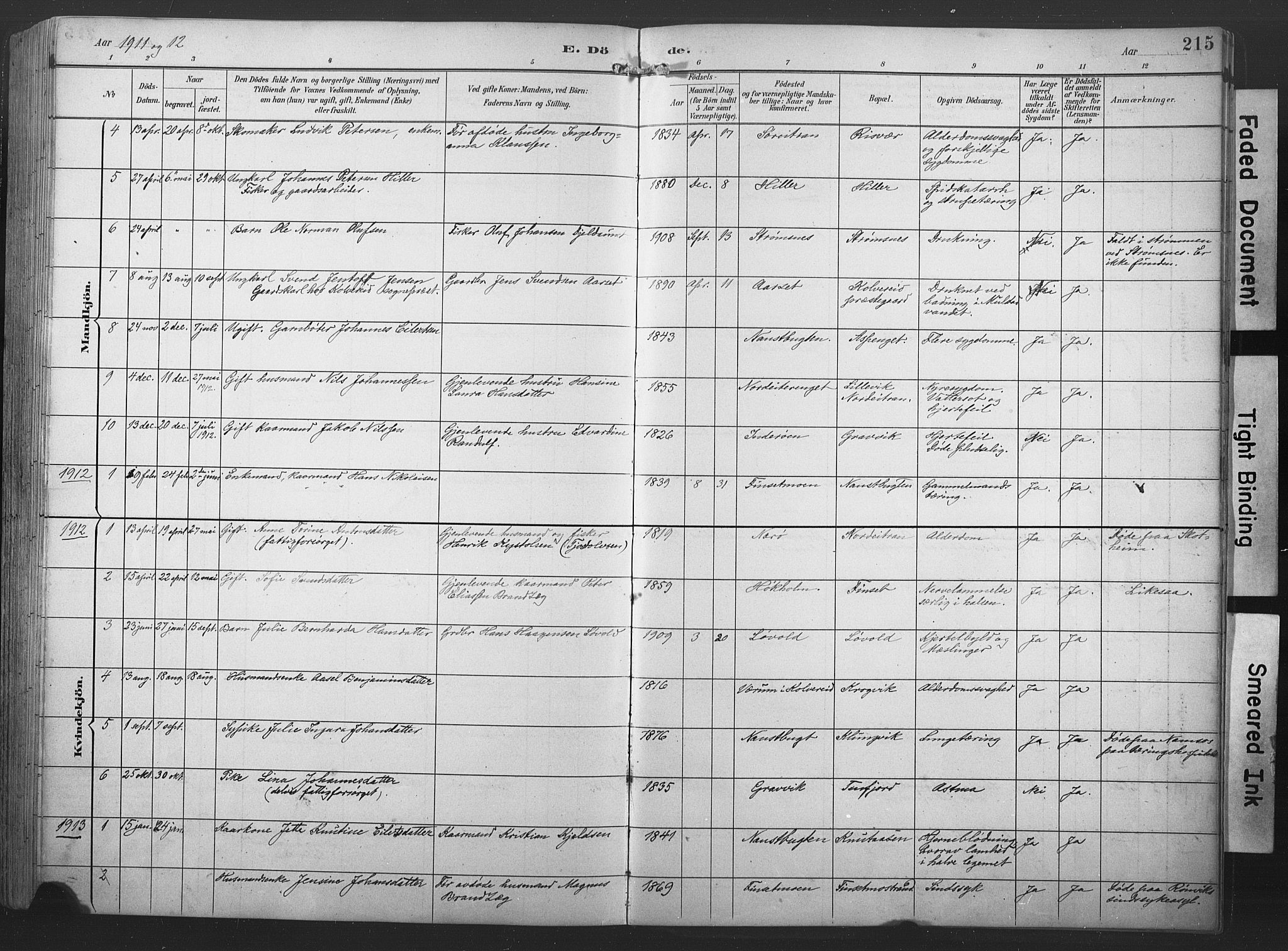 Ministerialprotokoller, klokkerbøker og fødselsregistre - Nord-Trøndelag, SAT/A-1458/789/L0706: Parish register (copy) no. 789C01, 1888-1931, p. 215