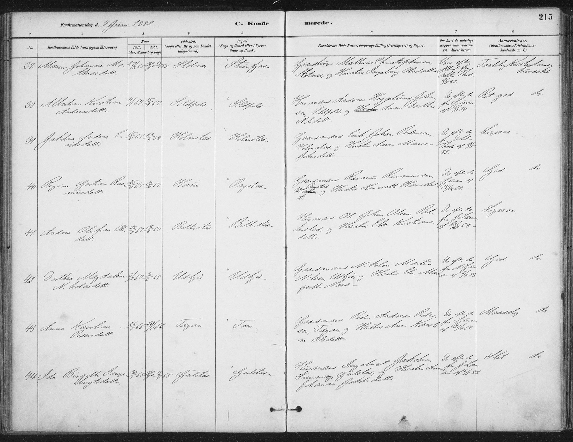 Ministerialprotokoller, klokkerbøker og fødselsregistre - Nordland, AV/SAT-A-1459/888/L1244: Parish register (official) no. 888A10, 1880-1890, p. 215