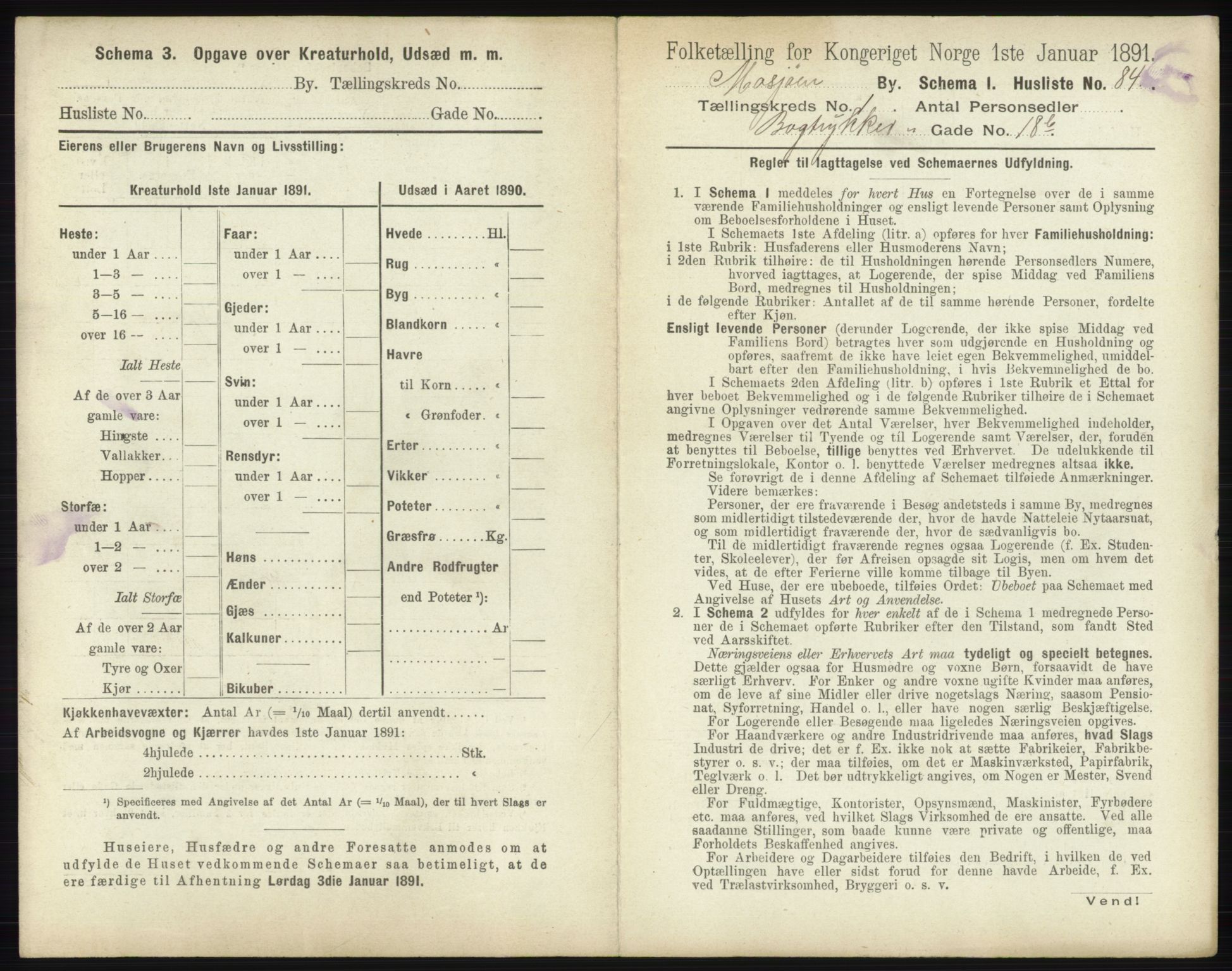 RA, 1891 census for 1802 Mosjøen, 1891, p. 177