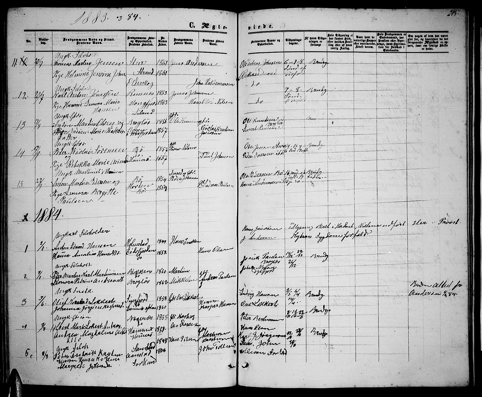 Ministerialprotokoller, klokkerbøker og fødselsregistre - Nordland, AV/SAT-A-1459/895/L1381: Parish register (copy) no. 895C03, 1864-1885, p. 215