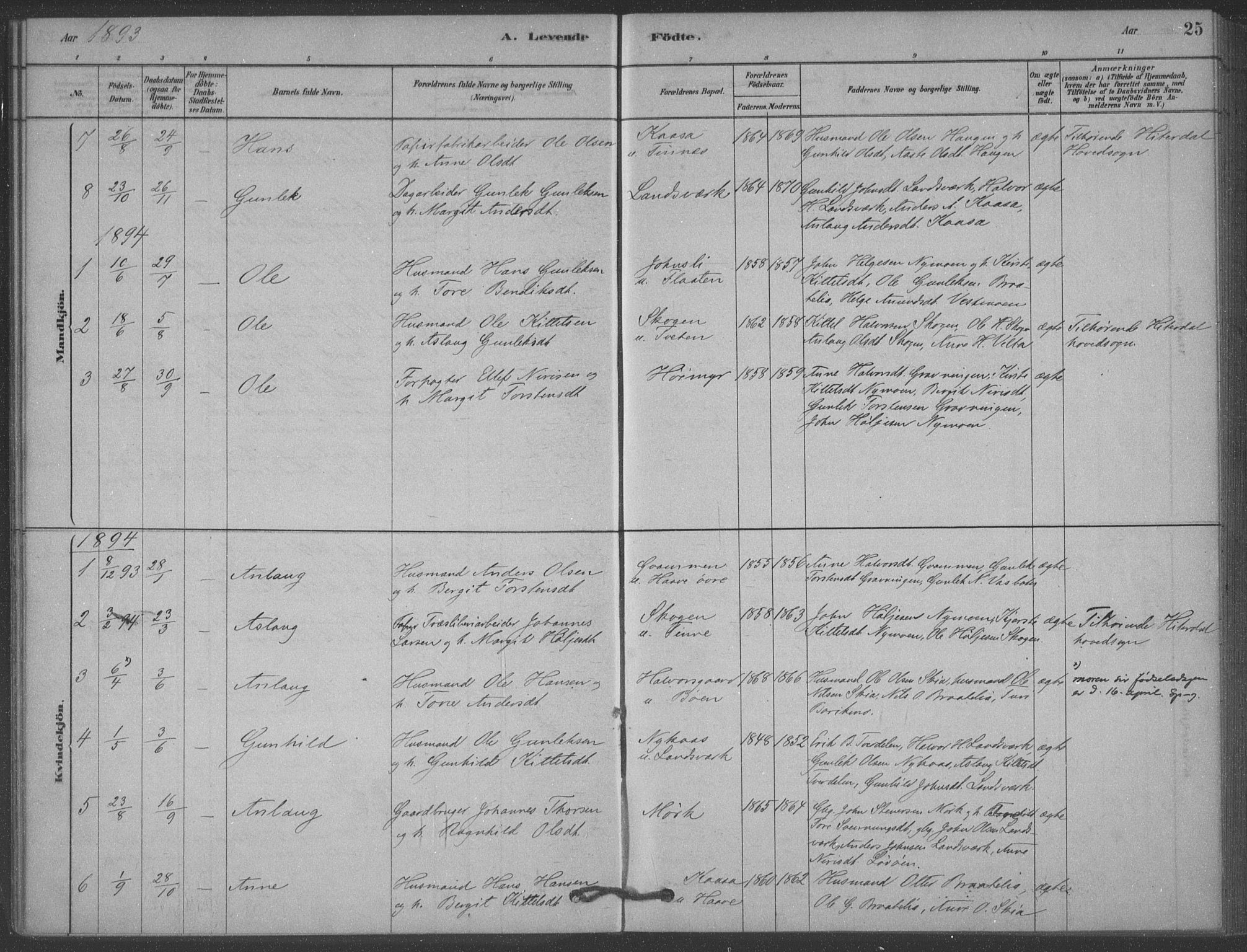 Heddal kirkebøker, SAKO/A-268/F/Fb/L0002: Parish register (official) no. II 2, 1878-1913, p. 25