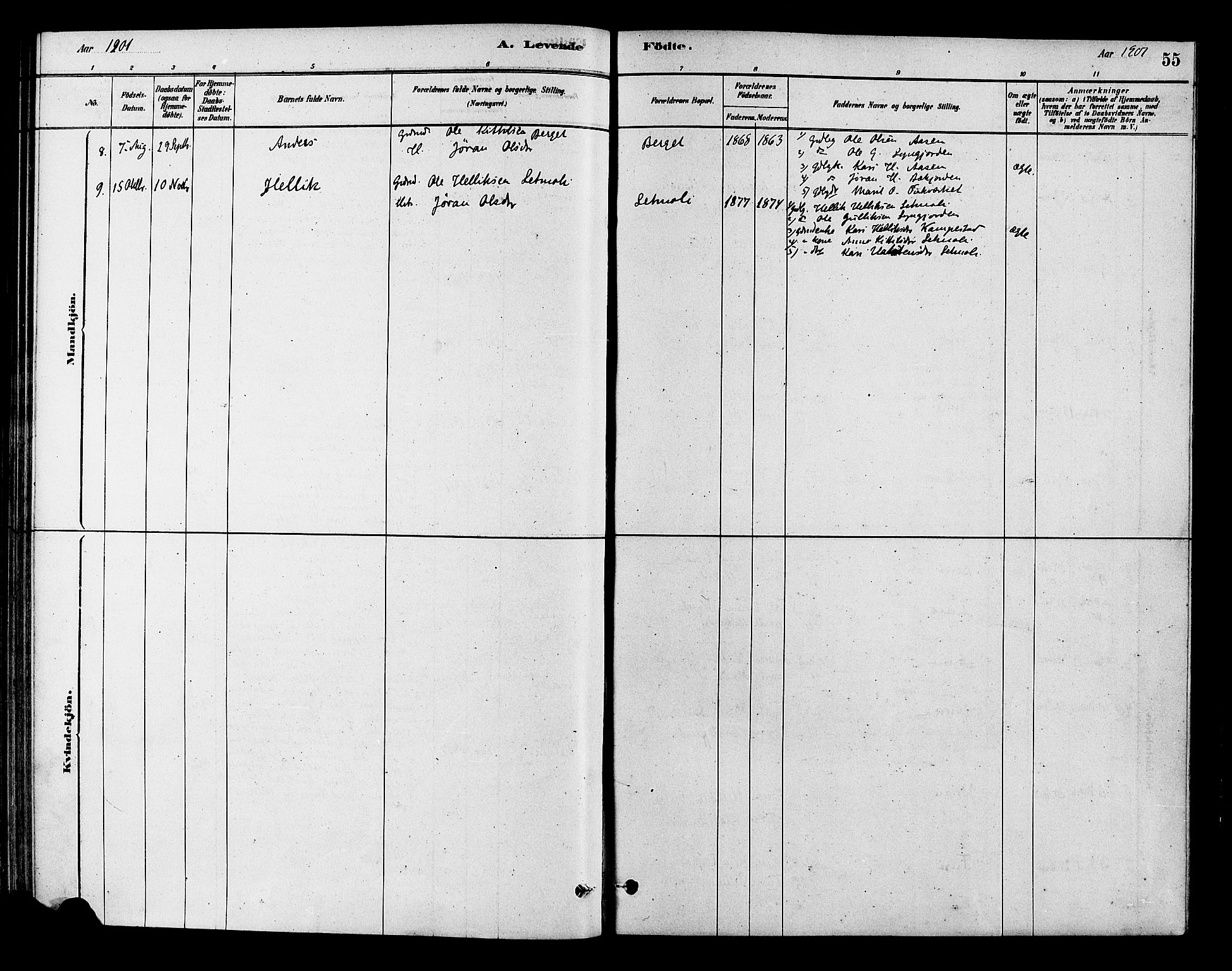 Flesberg kirkebøker, AV/SAKO-A-18/F/Fc/L0001: Parish register (official) no. III 1, 1879-1905, p. 55