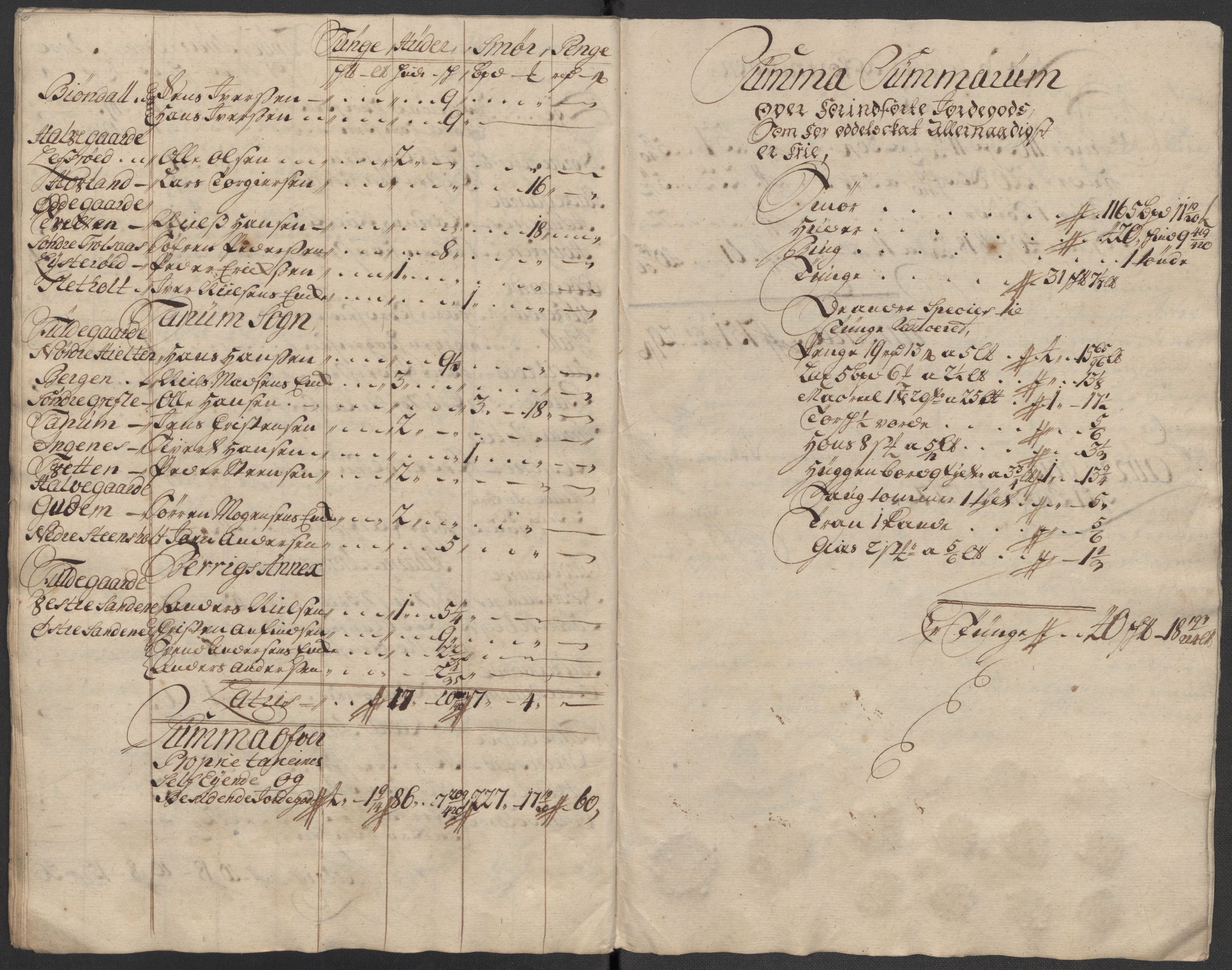 Rentekammeret inntil 1814, Reviderte regnskaper, Fogderegnskap, RA/EA-4092/R33/L1987: Fogderegnskap Larvik grevskap, 1716-1717, p. 632