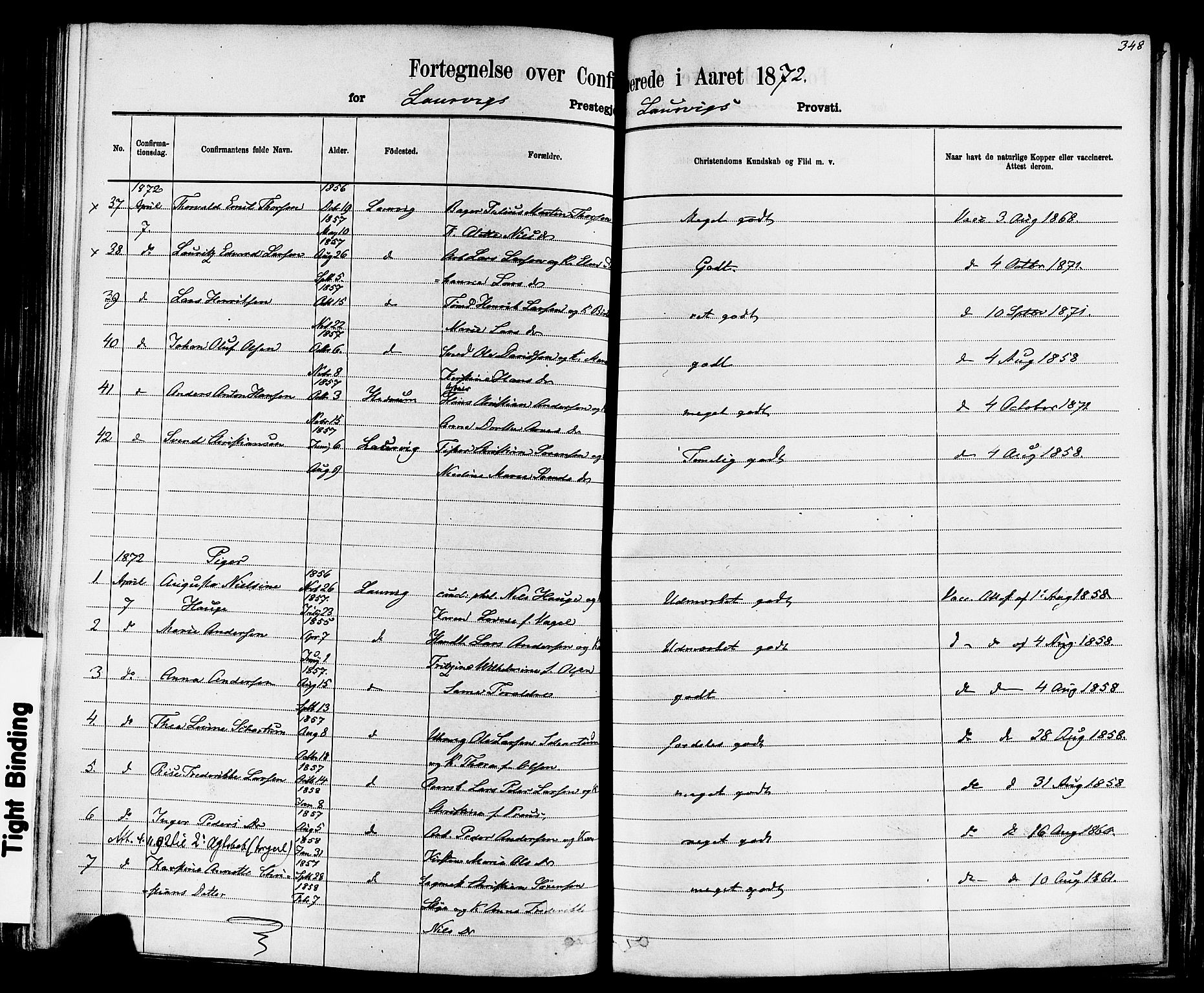 Larvik kirkebøker, SAKO/A-352/F/Fa/L0006: Parish register (official) no. I 6, 1871-1883, p. 348