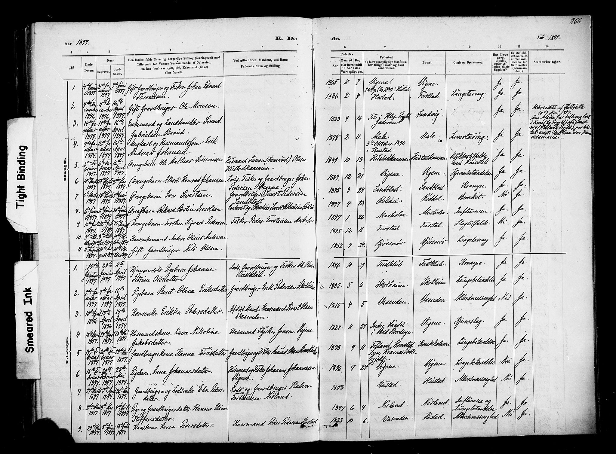 Ministerialprotokoller, klokkerbøker og fødselsregistre - Møre og Romsdal, AV/SAT-A-1454/567/L0778: Parish register (official) no. 567A01, 1881-1903, p. 266