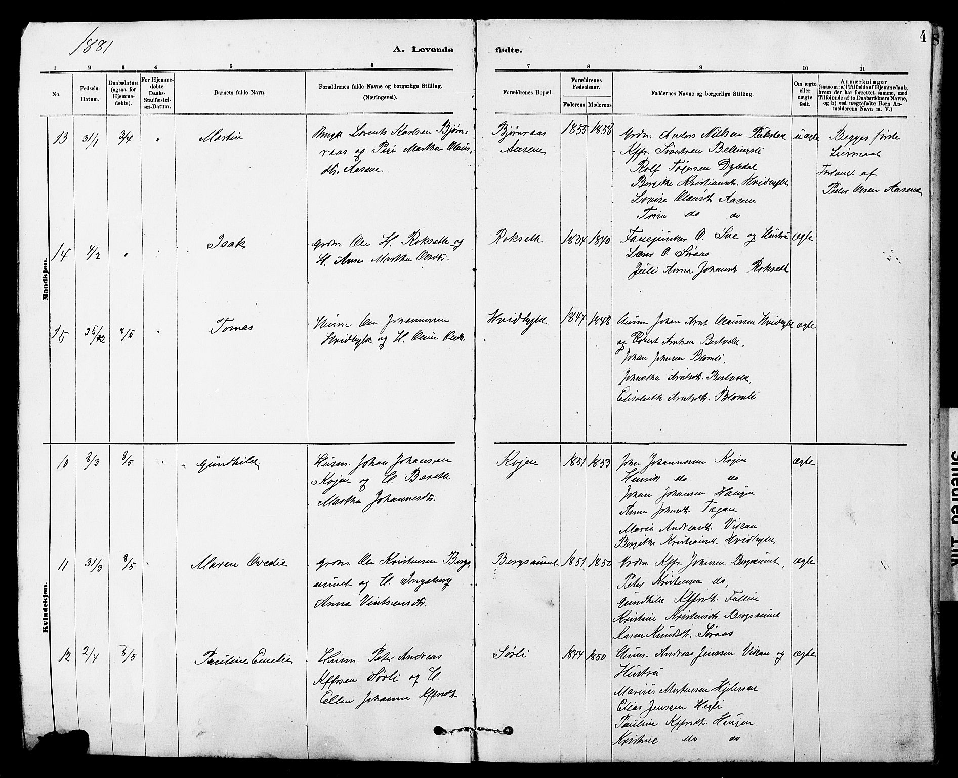 Ministerialprotokoller, klokkerbøker og fødselsregistre - Sør-Trøndelag, AV/SAT-A-1456/647/L0636: Parish register (copy) no. 647C01, 1881-1884, p. 4