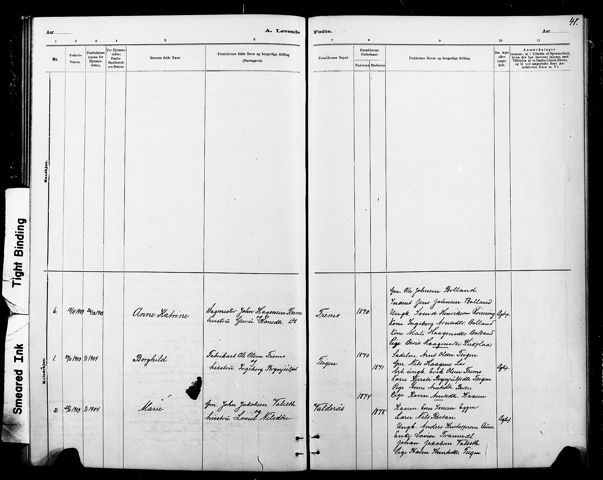 Ministerialprotokoller, klokkerbøker og fødselsregistre - Sør-Trøndelag, SAT/A-1456/693/L1123: Parish register (copy) no. 693C04, 1887-1910, p. 41