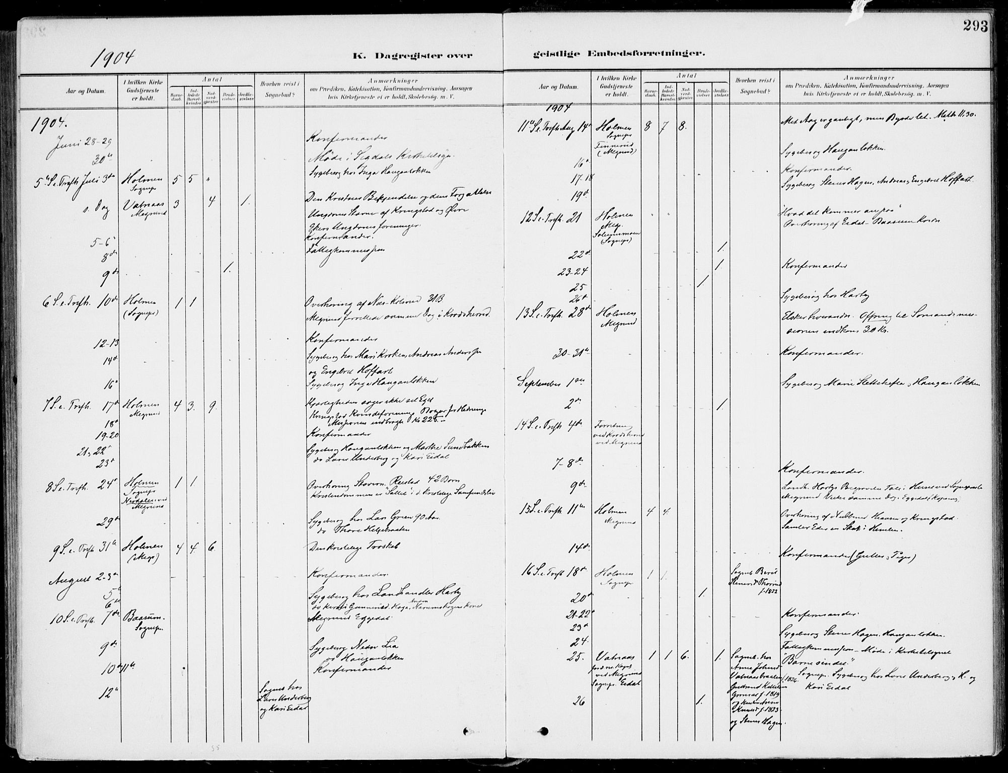 Sigdal kirkebøker, AV/SAKO-A-245/F/Fb/L0002: Parish register (official) no. II 2, 1901-1914, p. 293