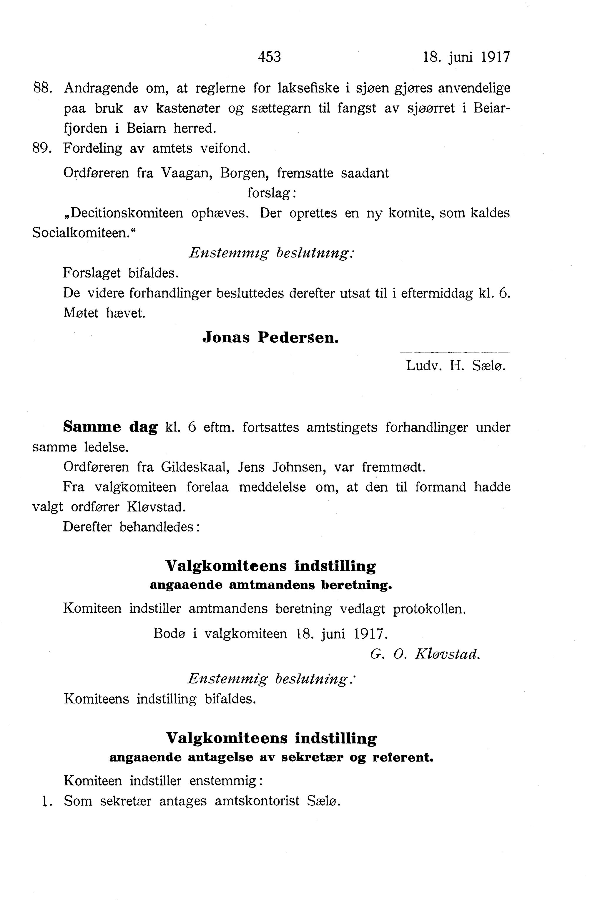 Nordland Fylkeskommune. Fylkestinget, AIN/NFK-17/176/A/Ac/L0040: Fylkestingsforhandlinger 1917, 1917