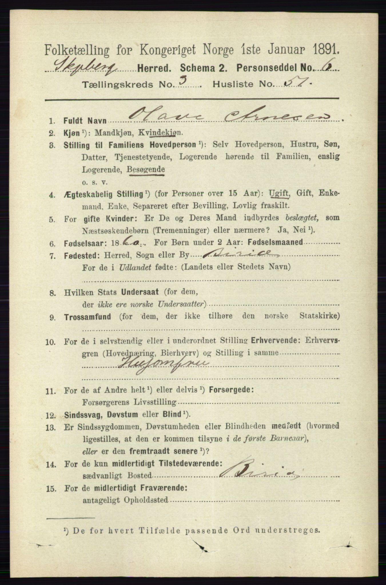 RA, 1891 census for 0115 Skjeberg, 1891, p. 1796