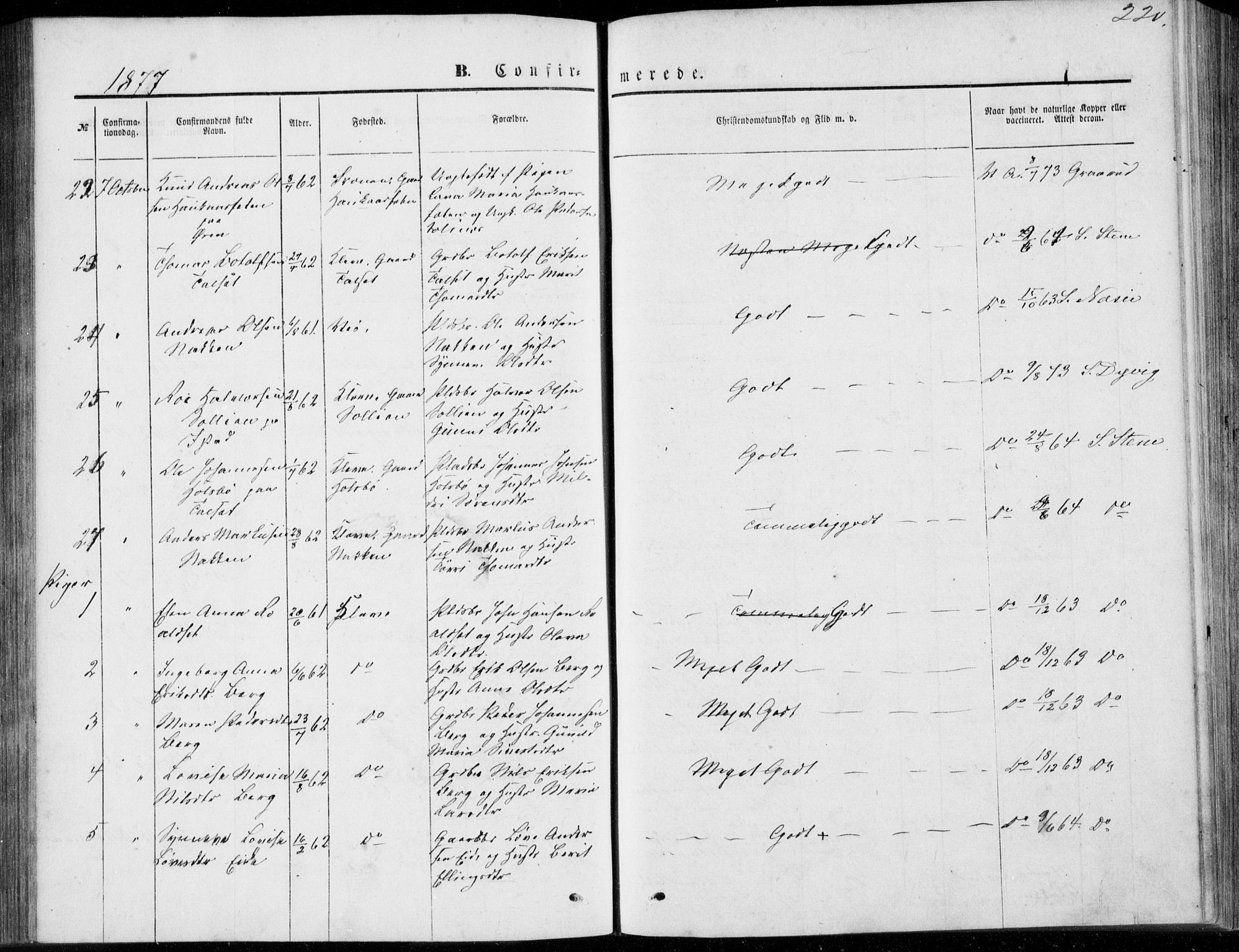 Ministerialprotokoller, klokkerbøker og fødselsregistre - Møre og Romsdal, AV/SAT-A-1454/557/L0681: Parish register (official) no. 557A03, 1869-1886, p. 220