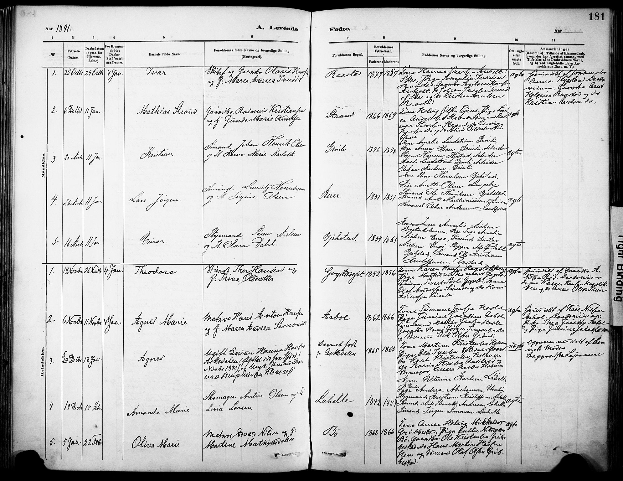 Sandar kirkebøker, SAKO/A-243/F/Fa/L0012: Parish register (official) no. 12, 1883-1895, p. 181