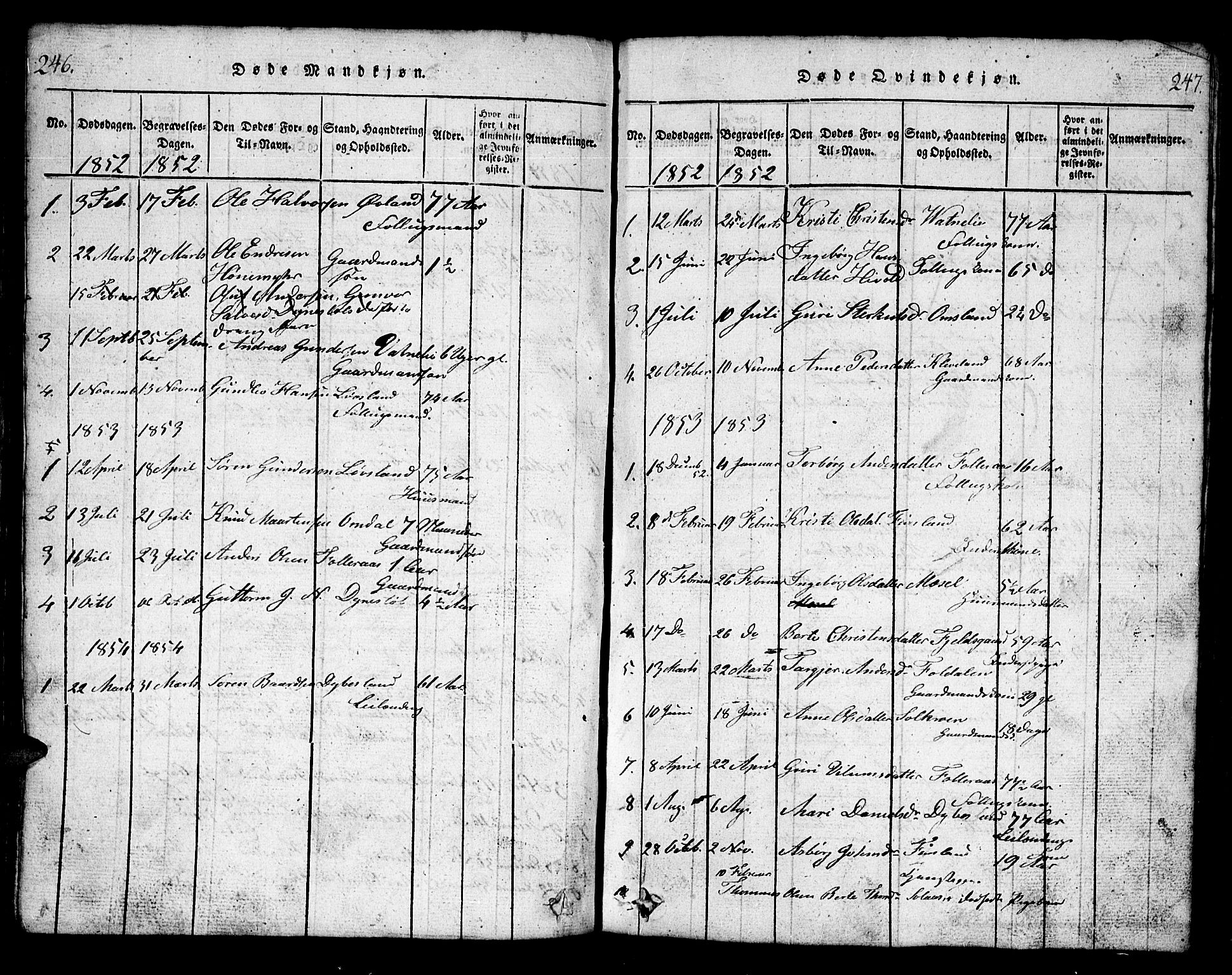 Bjelland sokneprestkontor, AV/SAK-1111-0005/F/Fb/Fbb/L0003: Parish register (copy) no. B 3, 1816-1868, p. 246-247