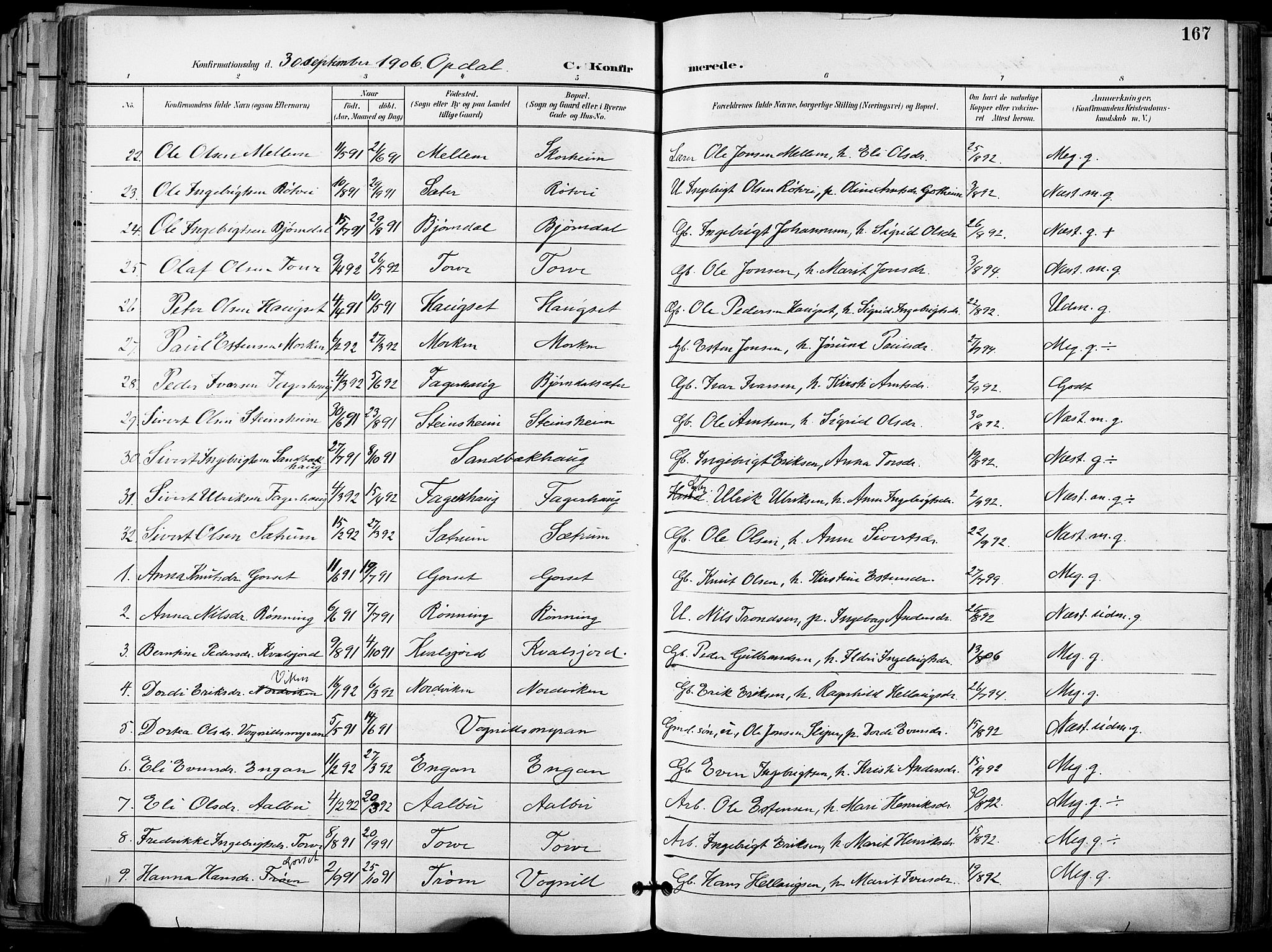 Ministerialprotokoller, klokkerbøker og fødselsregistre - Sør-Trøndelag, AV/SAT-A-1456/678/L0902: Parish register (official) no. 678A11, 1895-1911, p. 167