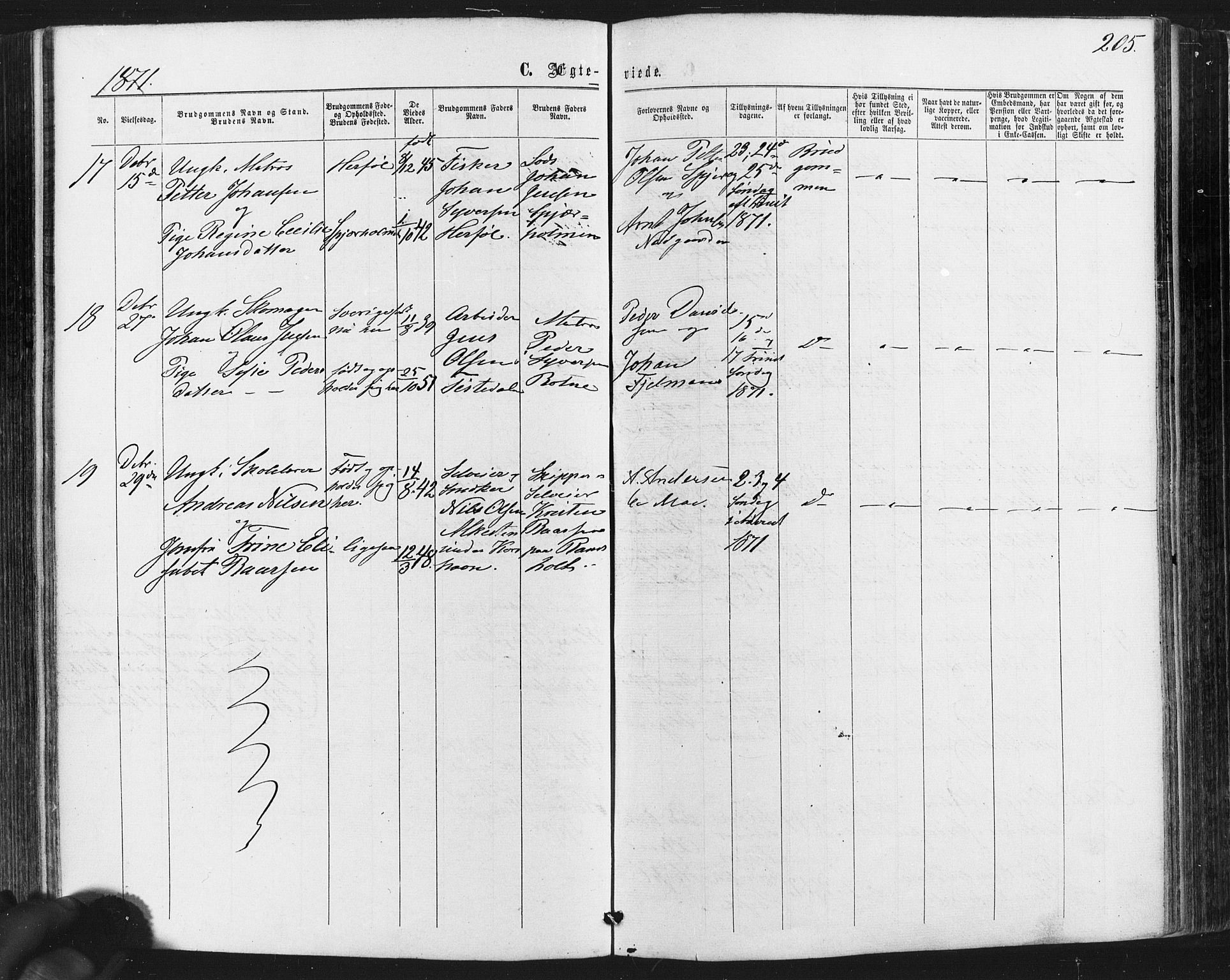 Hvaler prestekontor Kirkebøker, AV/SAO-A-2001/F/Fa/L0007: Parish register (official) no. I 7, 1864-1878, p. 205