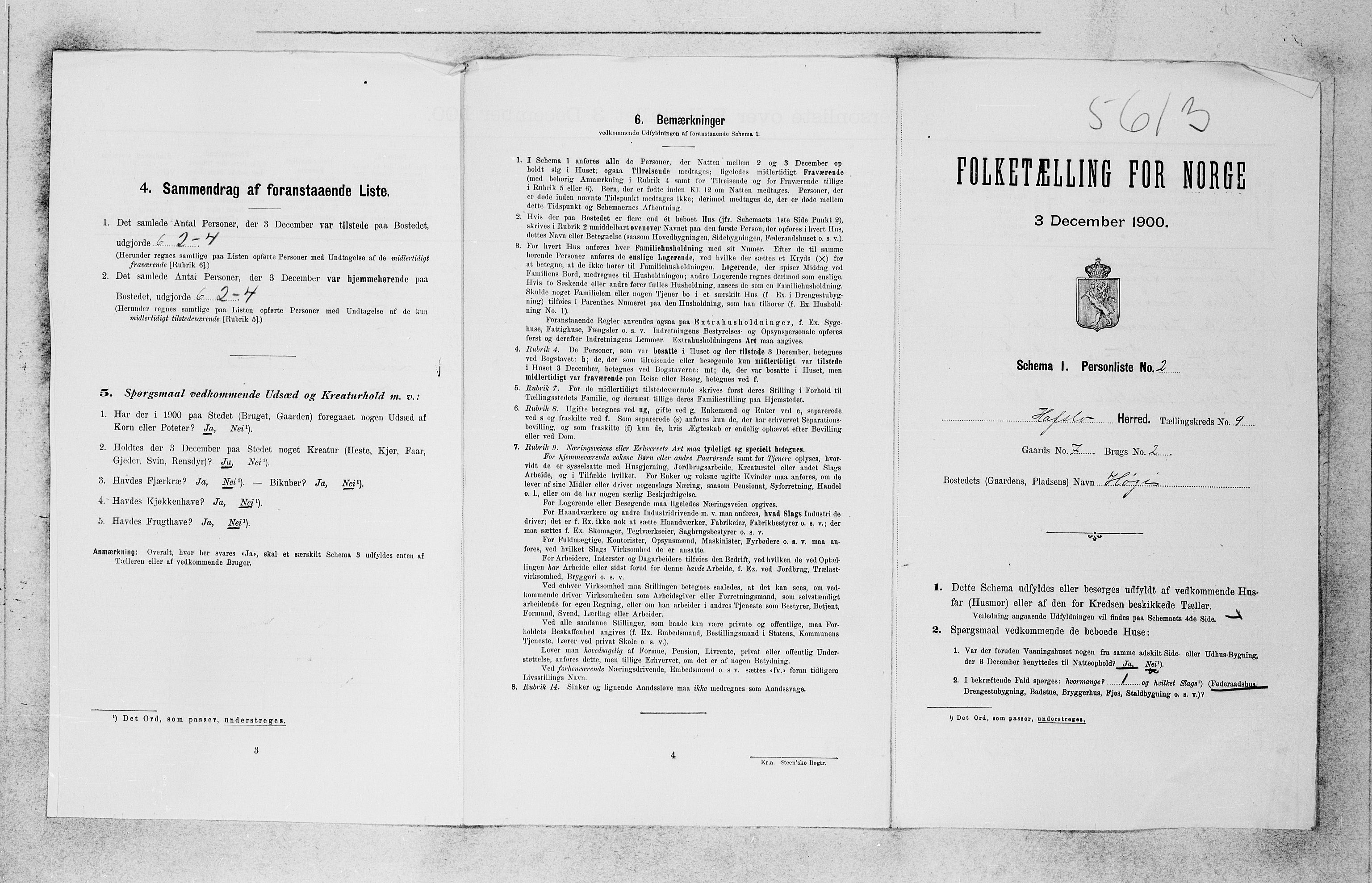 SAB, 1900 census for Hafslo, 1900, p. 942