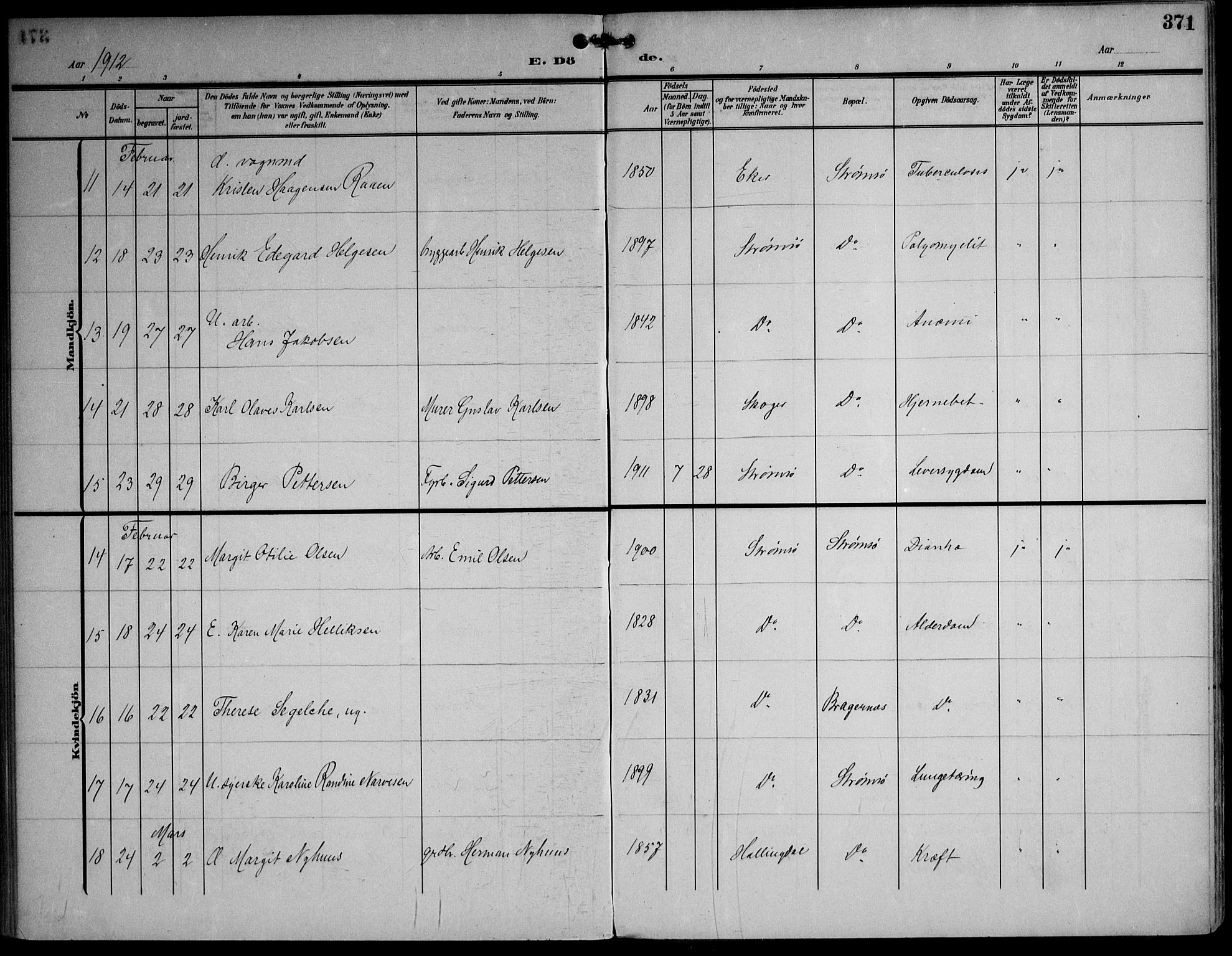 Strømsø kirkebøker, AV/SAKO-A-246/F/Fa/L0026: Parish register (official) no. I 26, 1905-1914, p. 371